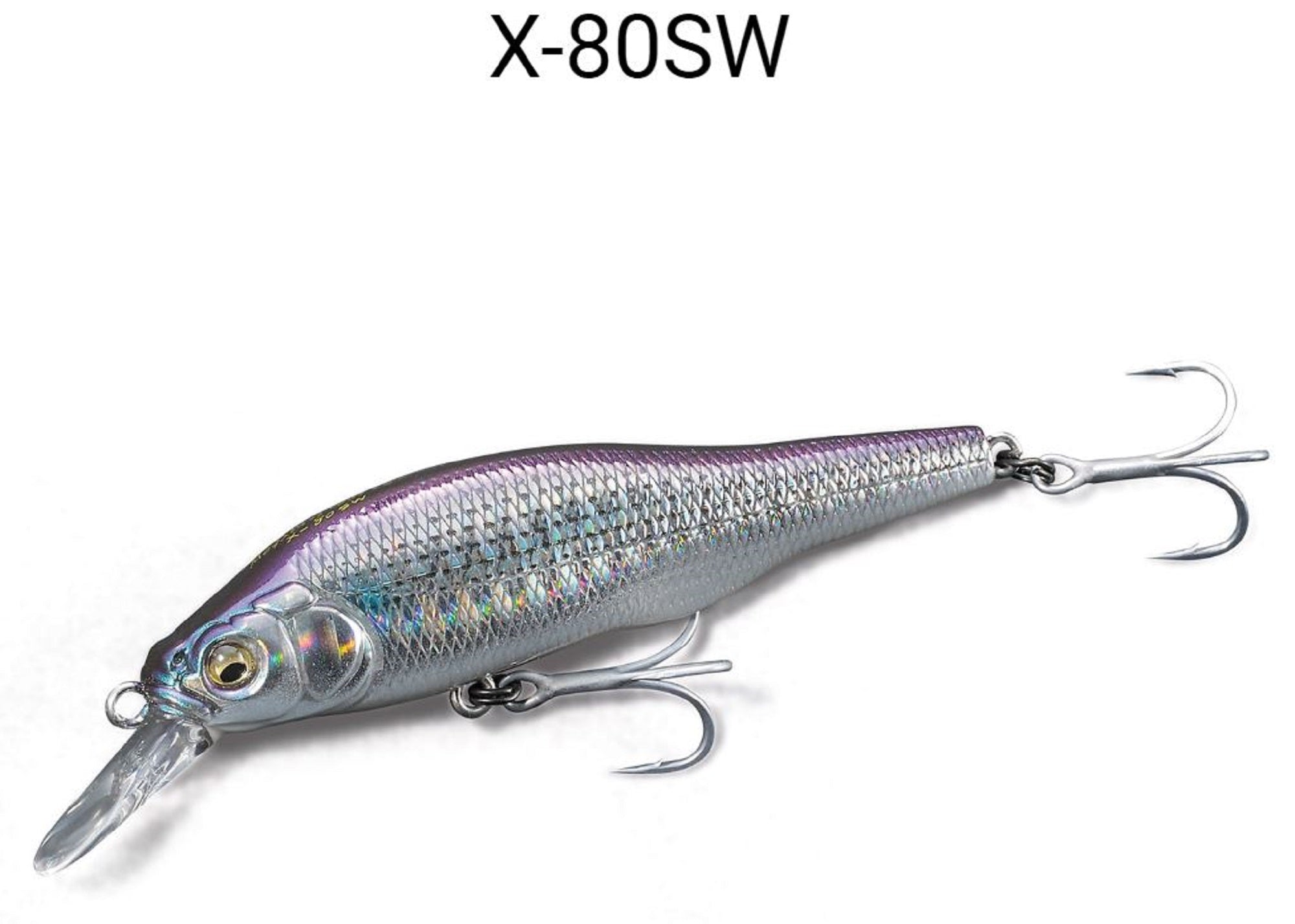 Megabass X-80 SW Slow Sinking Lure M Katakuchi RB (1829)