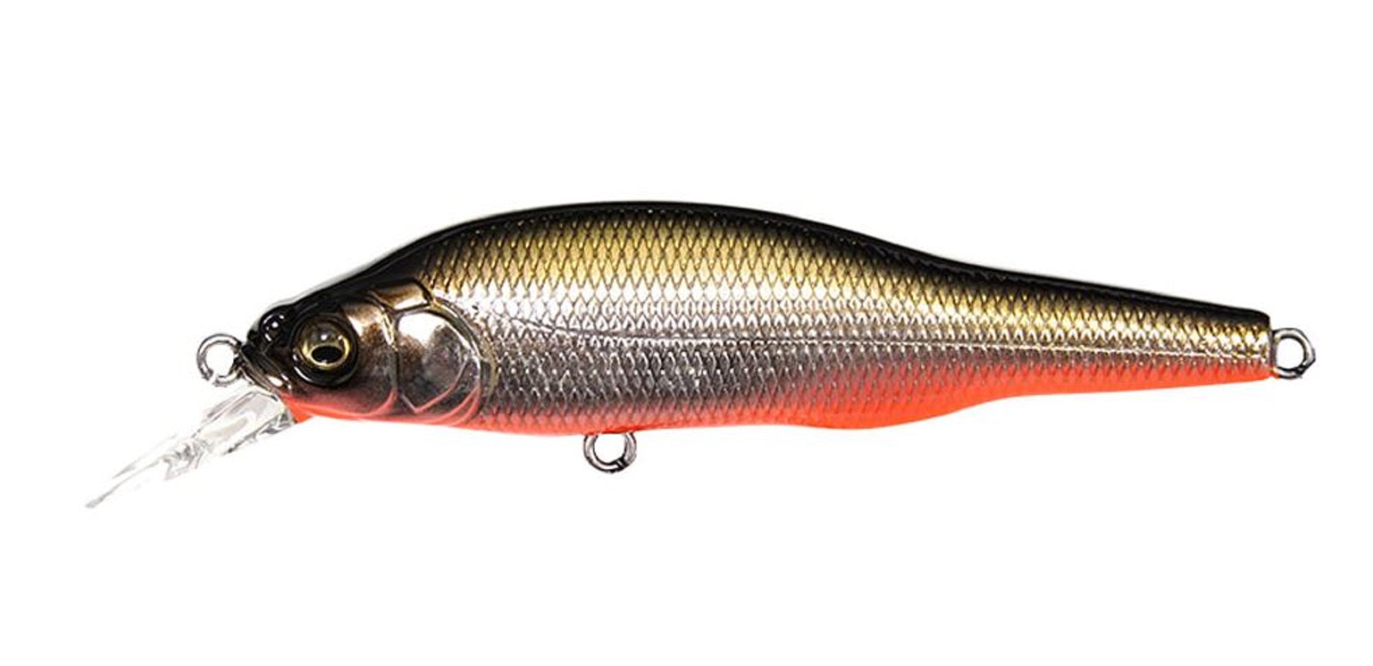 Megabass X-80 SW Slow Sinking Lure M Katakuchi RB (1829)