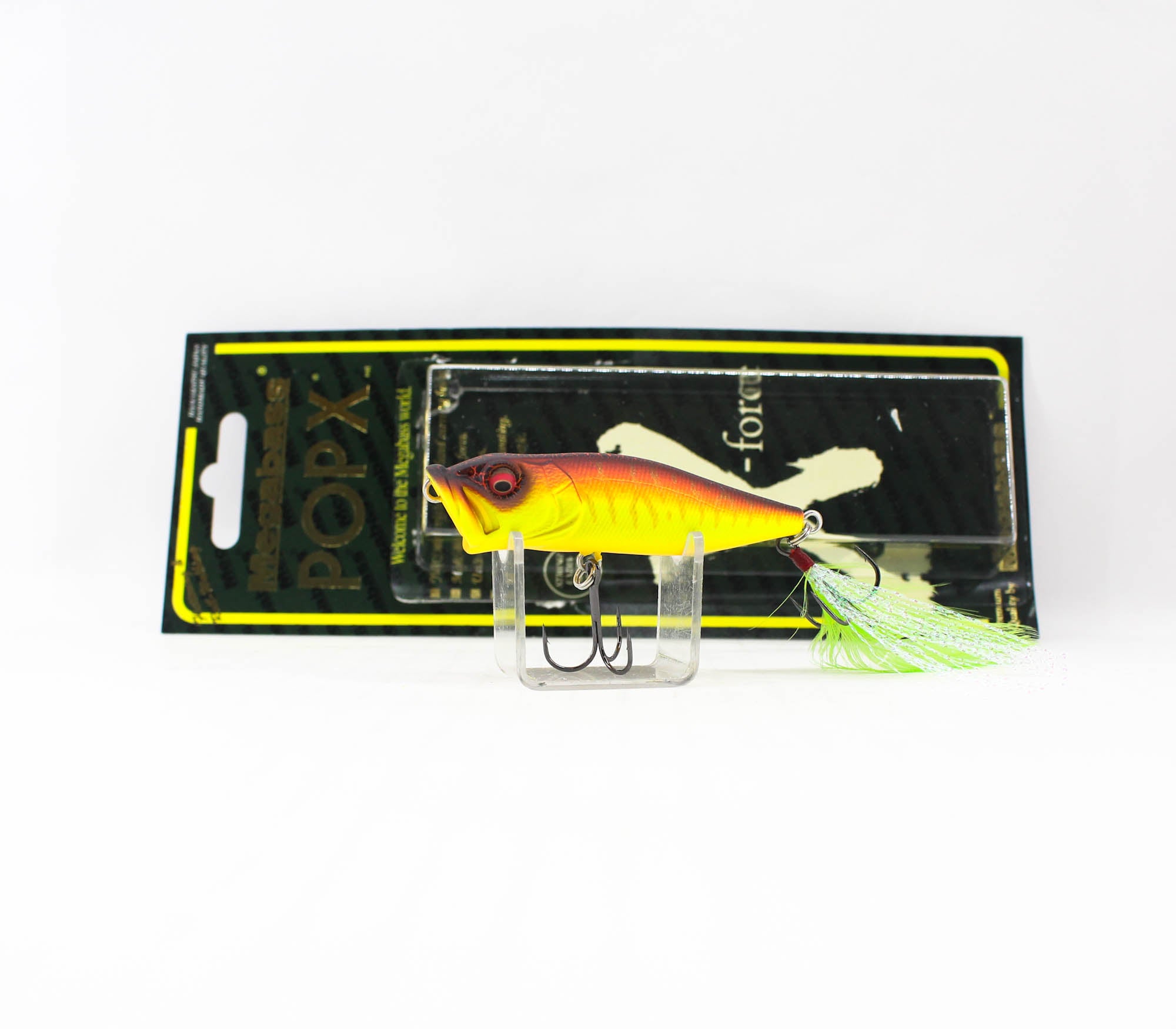Lure Haven Singapore