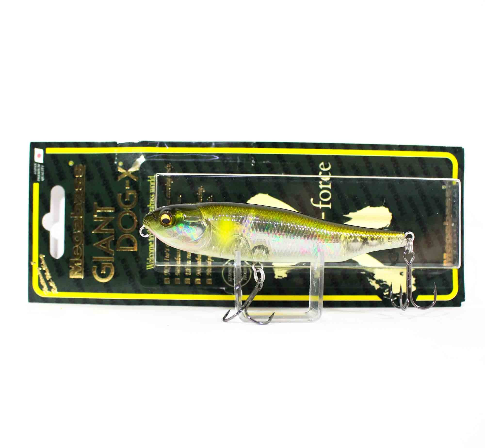 Lure Haven Singapore