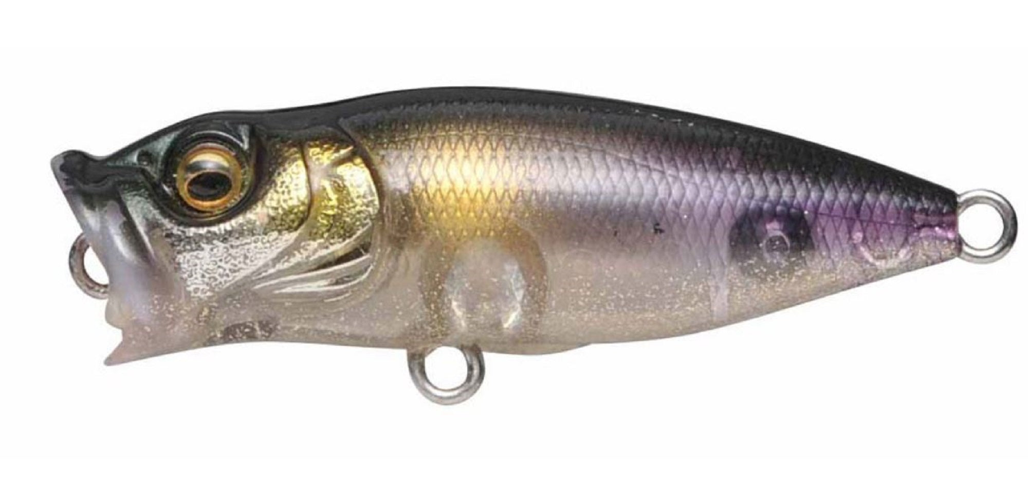 Lure Haven Singapore