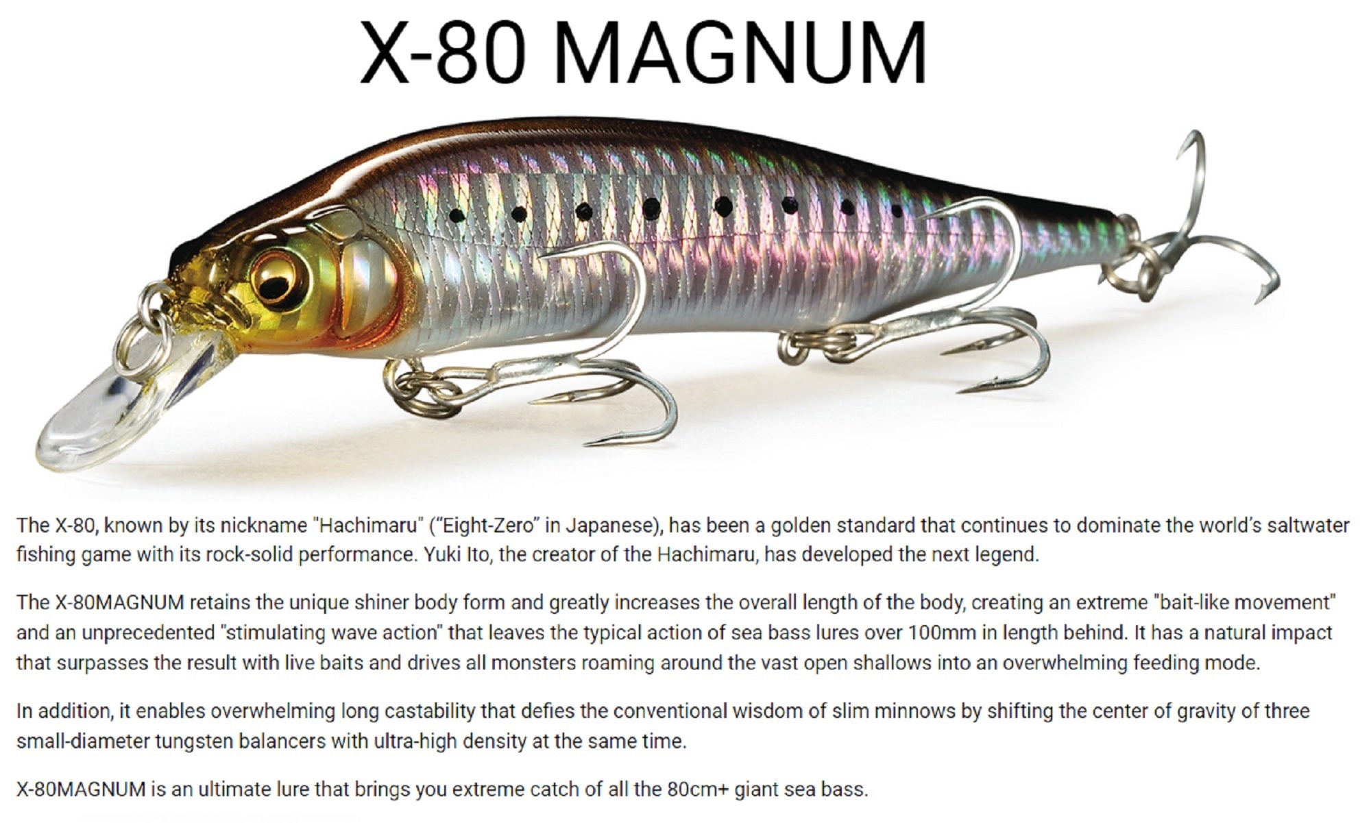 Lure Haven Singapore