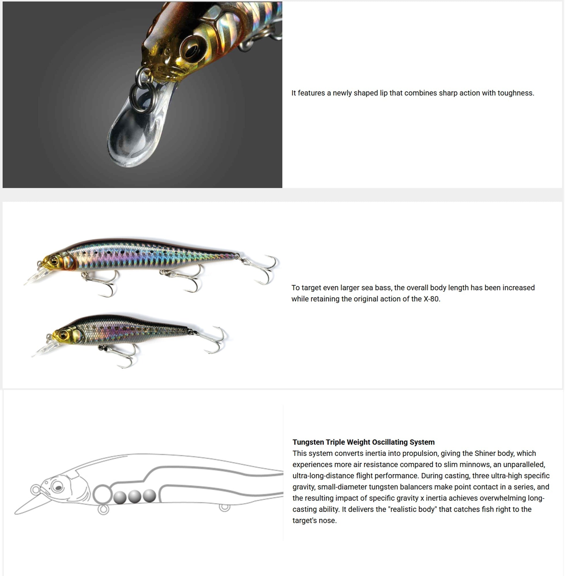 Megabass X-80 Magnum Sinking Lure PM Chart Back (7086)