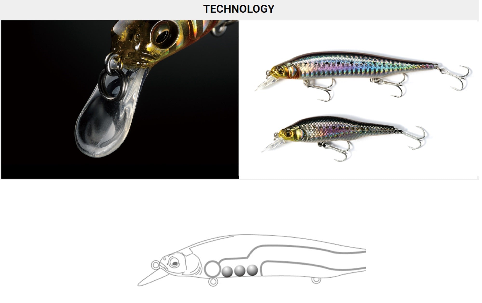 Lure Haven Singapore