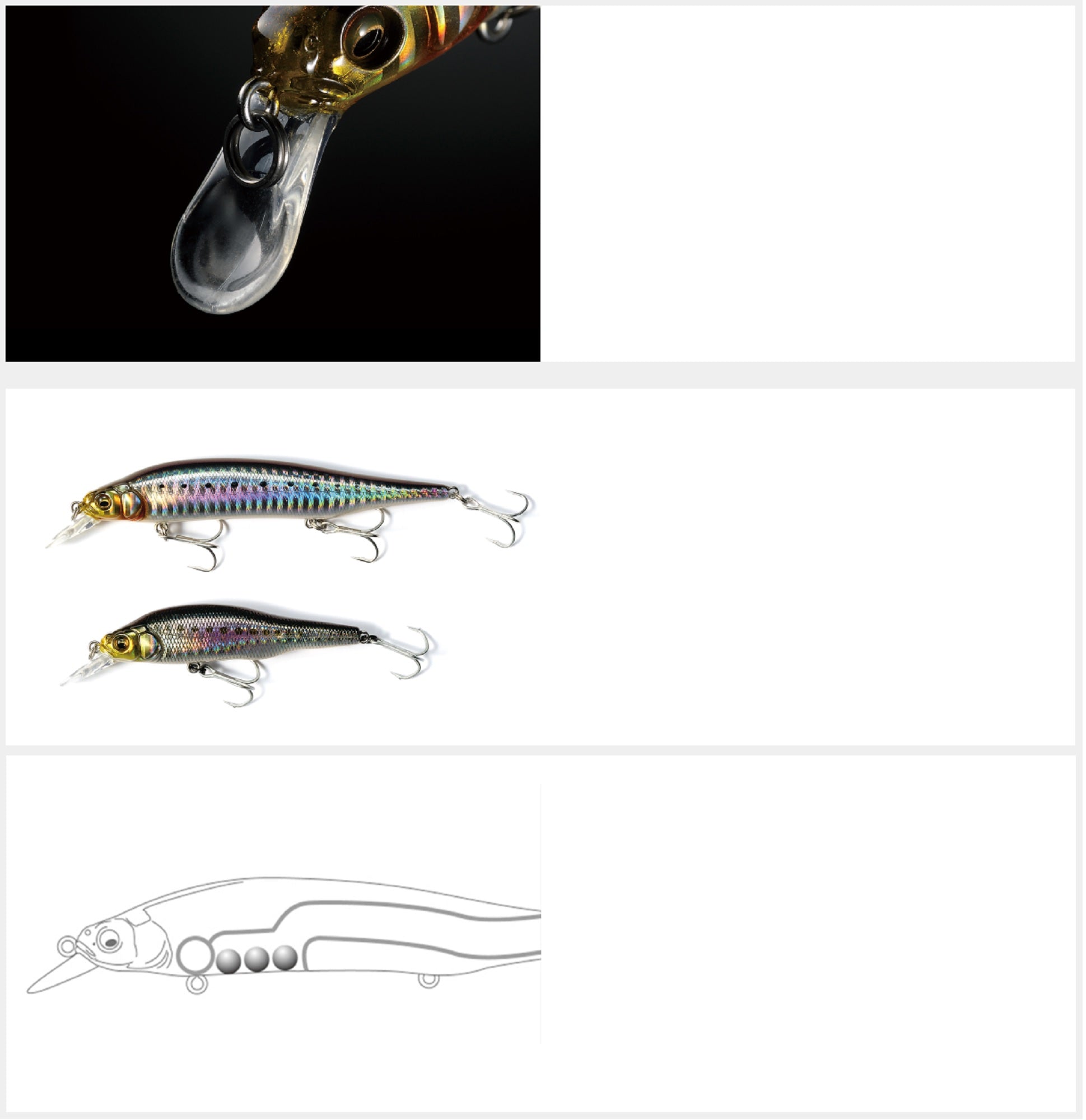 Lure Haven Singapore