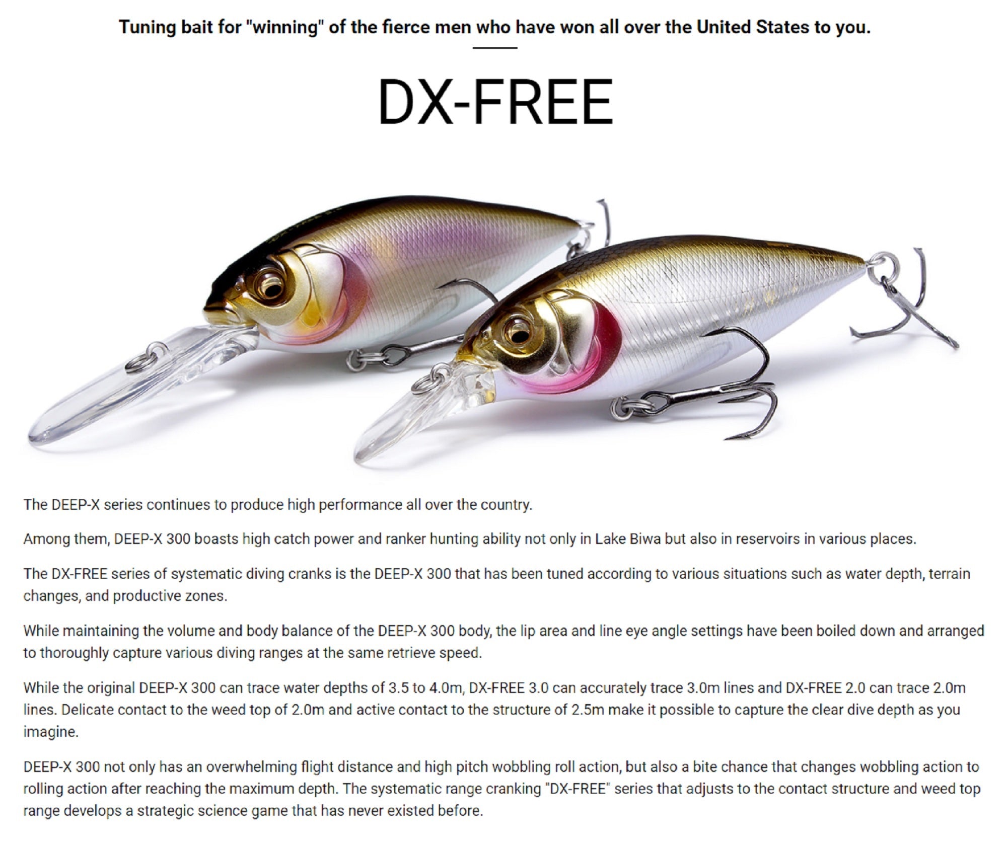 Lure Haven Singapore