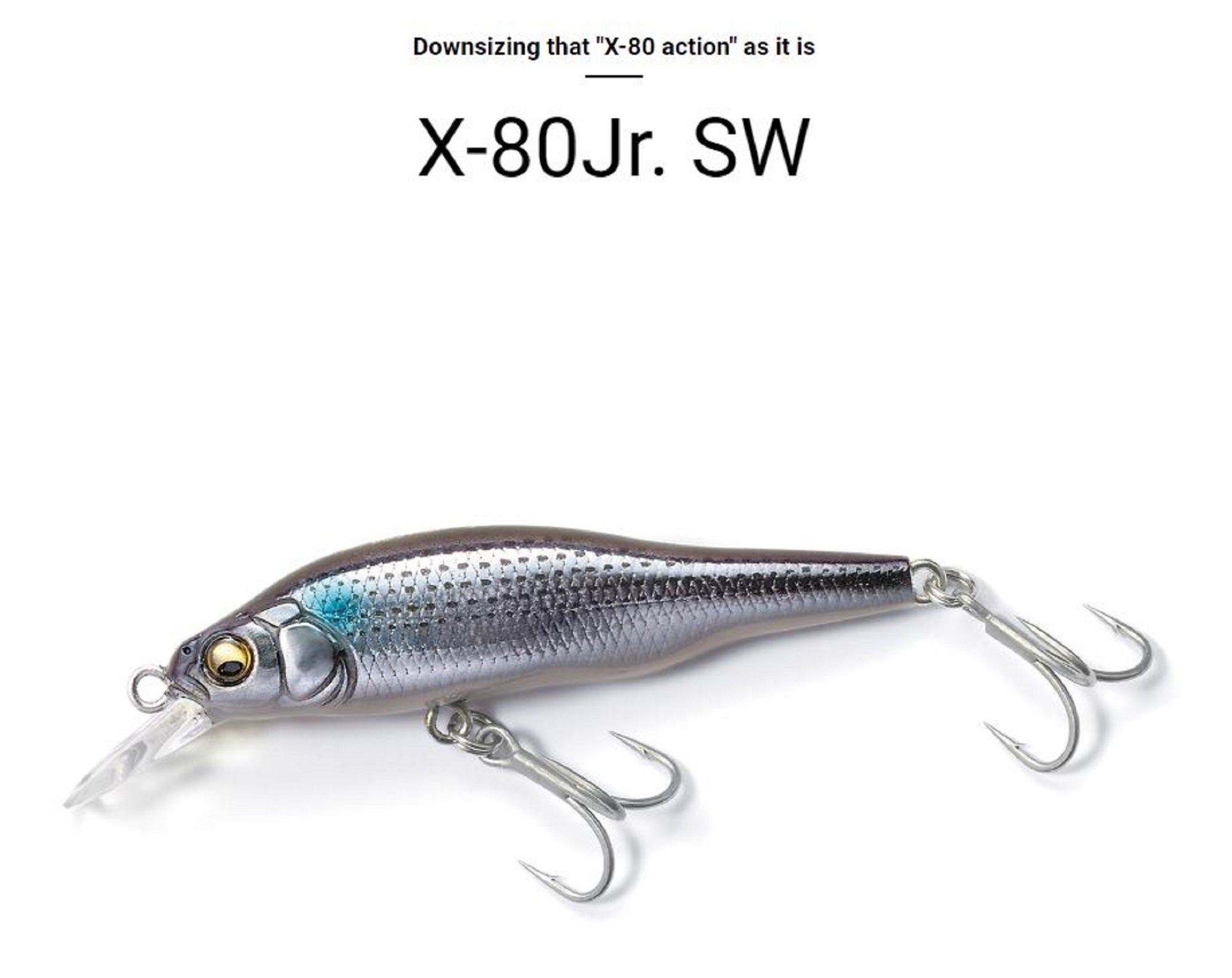 Lure Haven Singapore