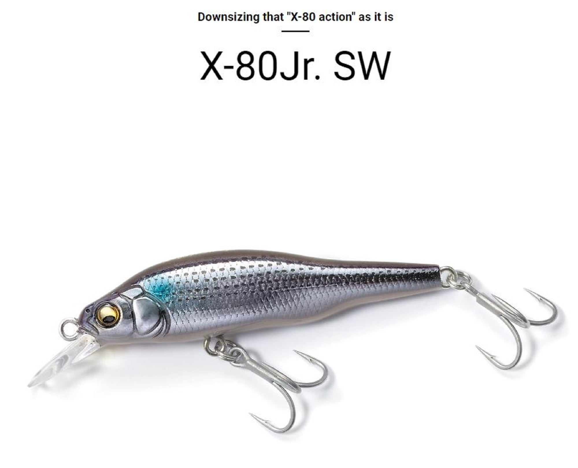 Lure Haven Singapore
