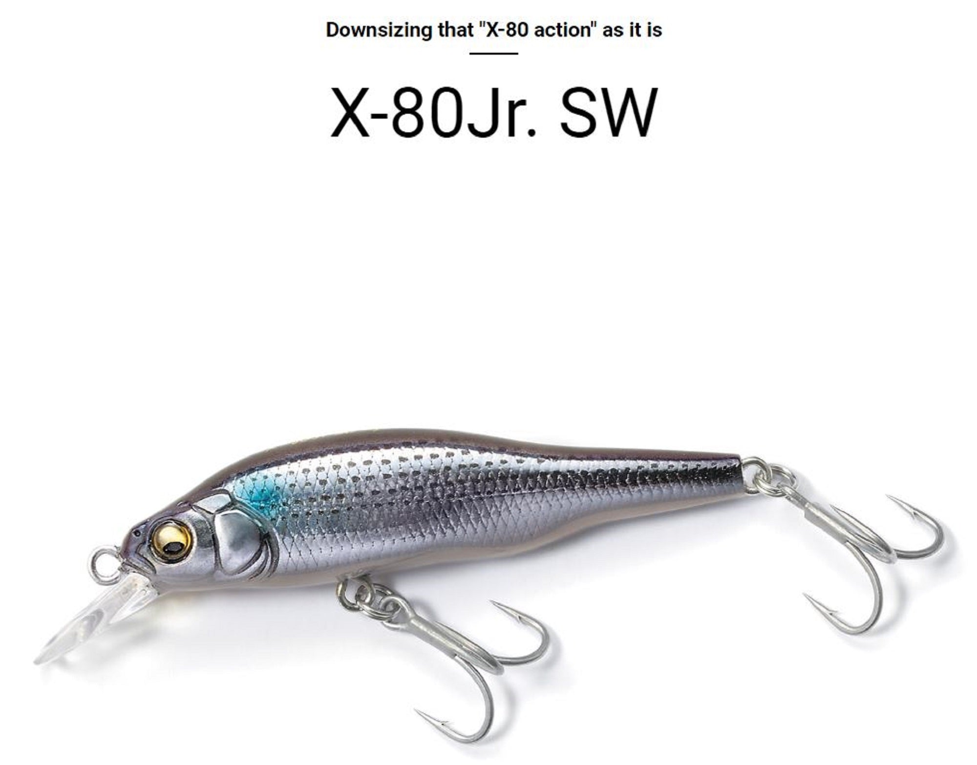 Lure Haven Singapore