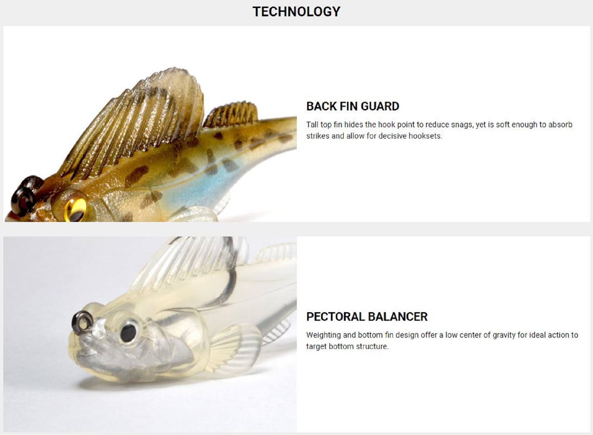 Lure Haven Singapore