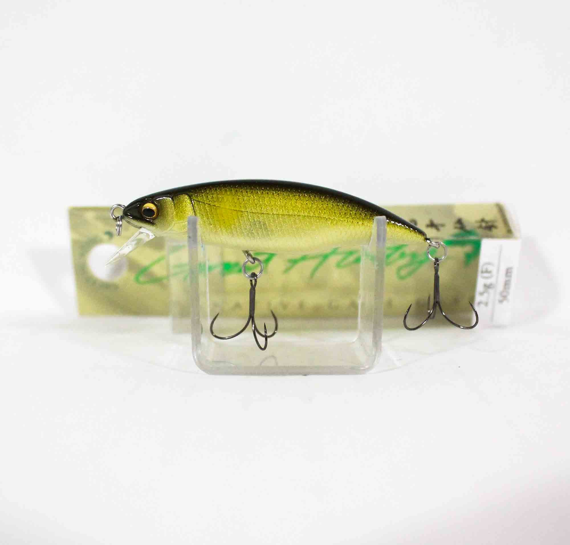 Lure Haven Singapore