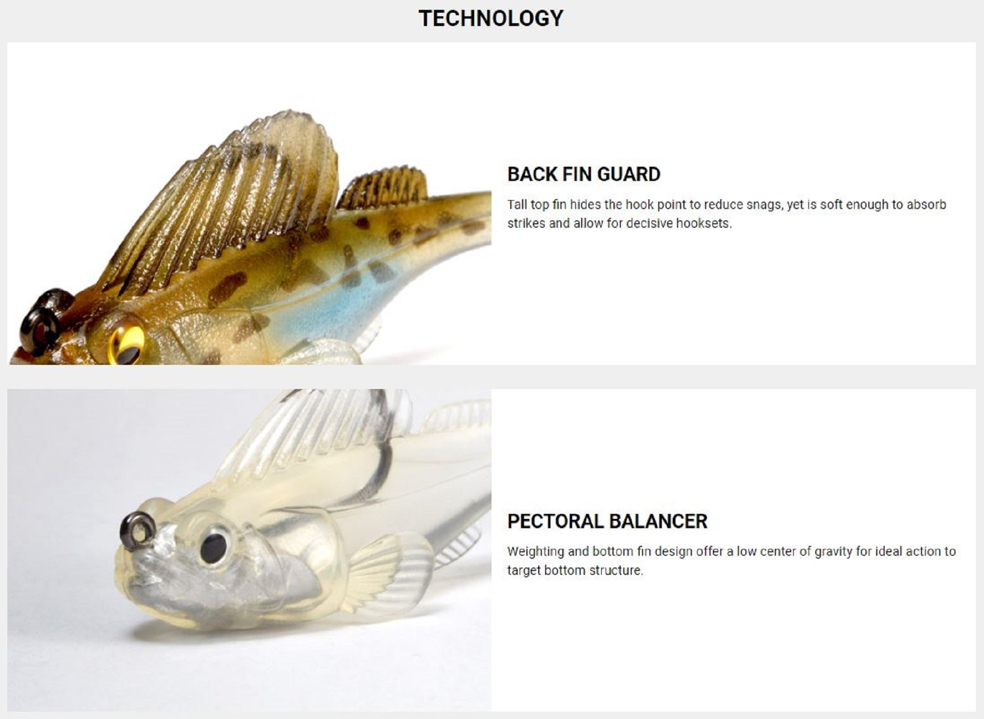 Lure Haven Singapore