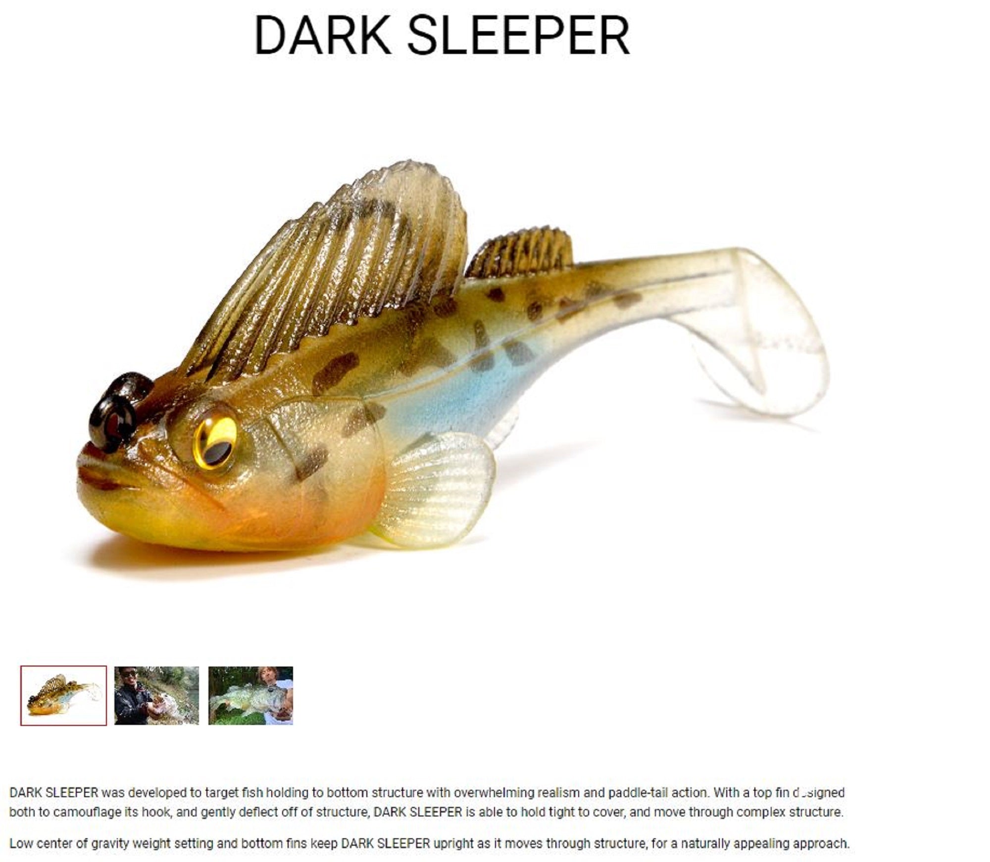 Lure Haven Singapore
