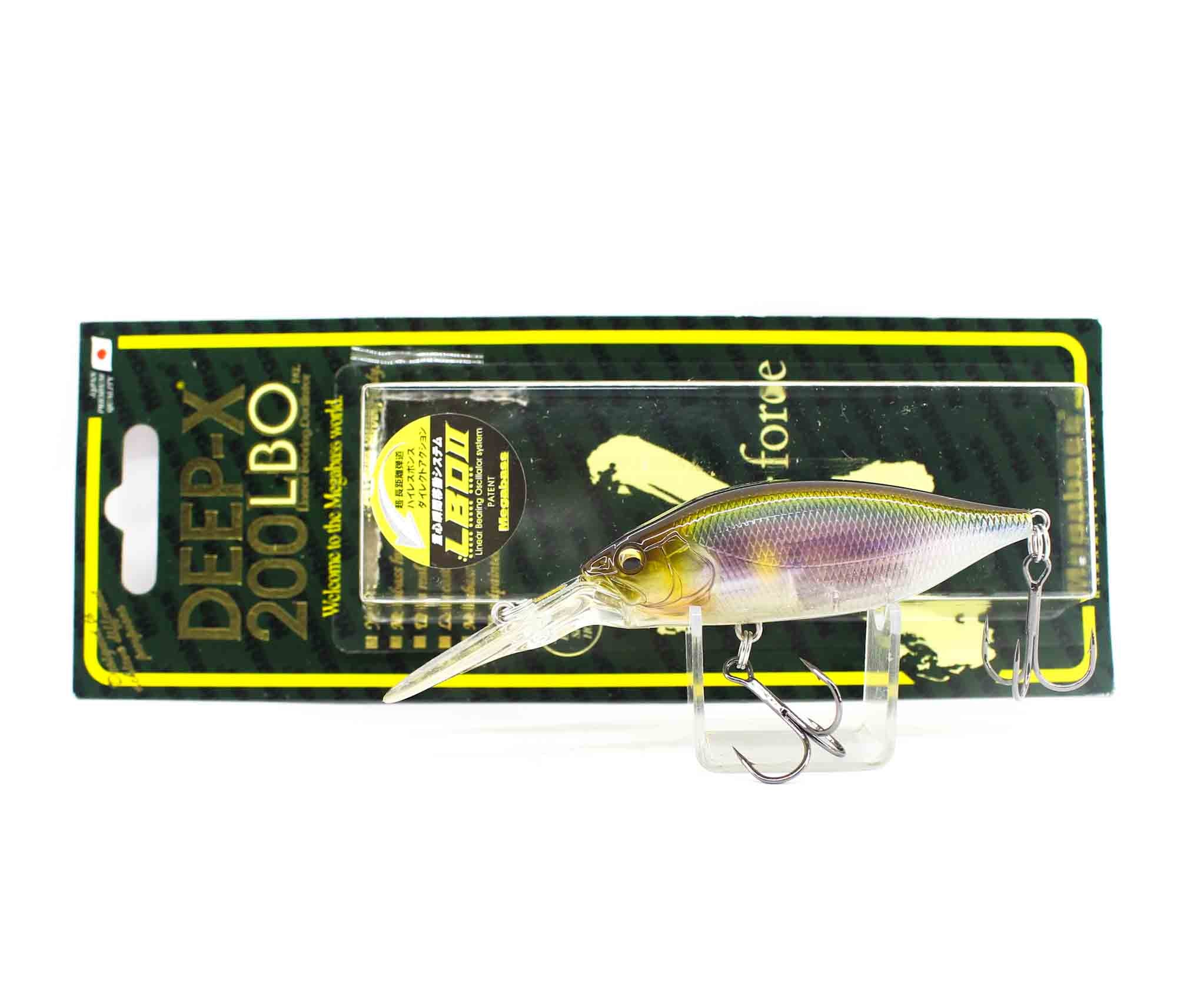 Lure Haven Singapore