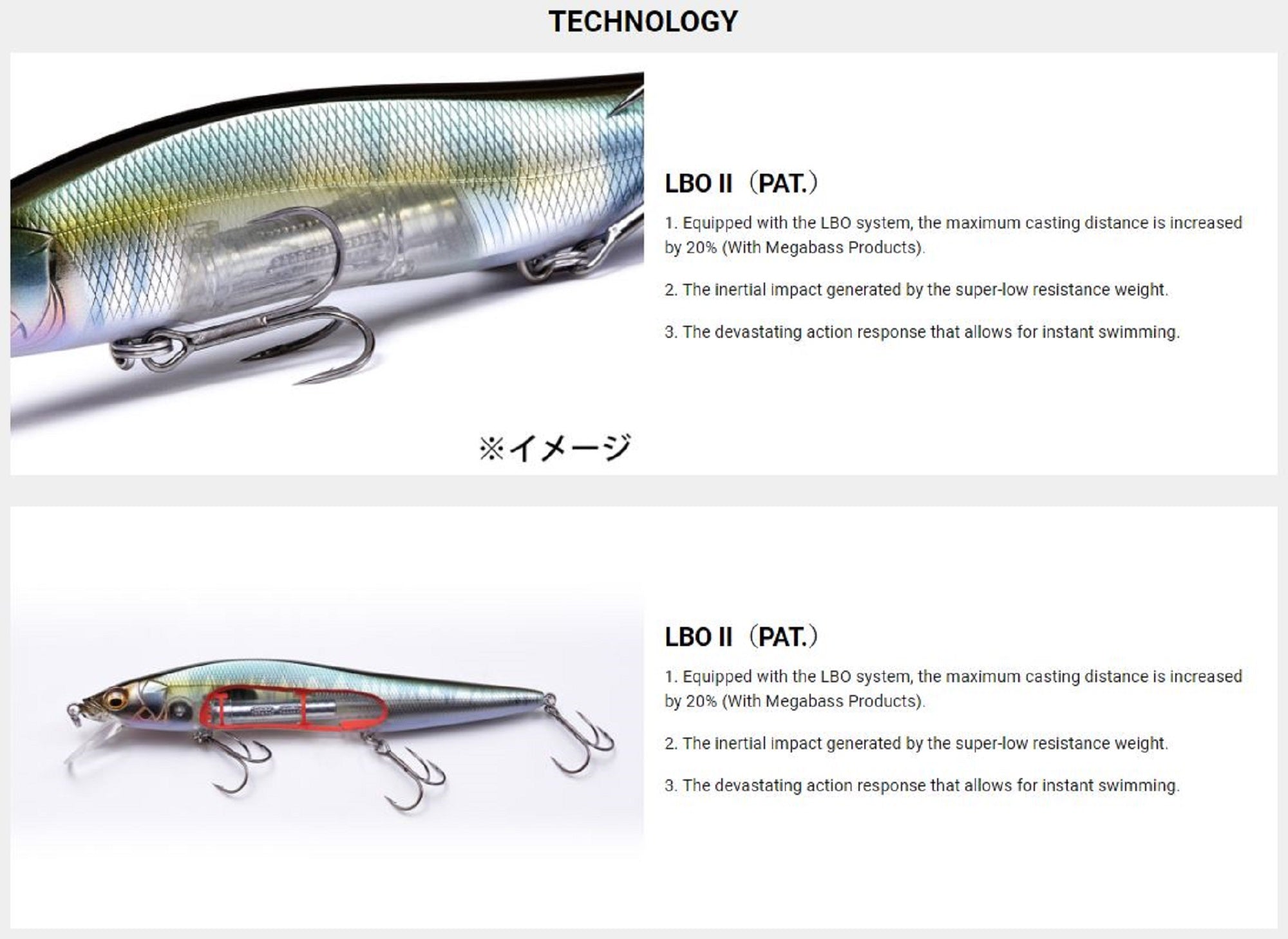 Lure Haven Singapore
