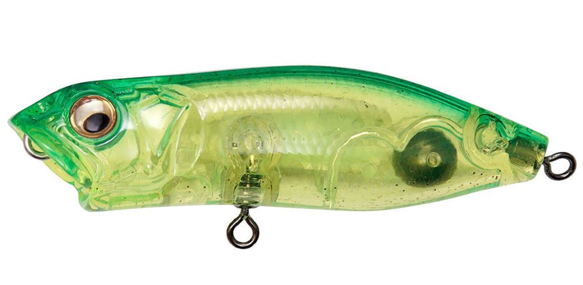 Lure Haven Singapore