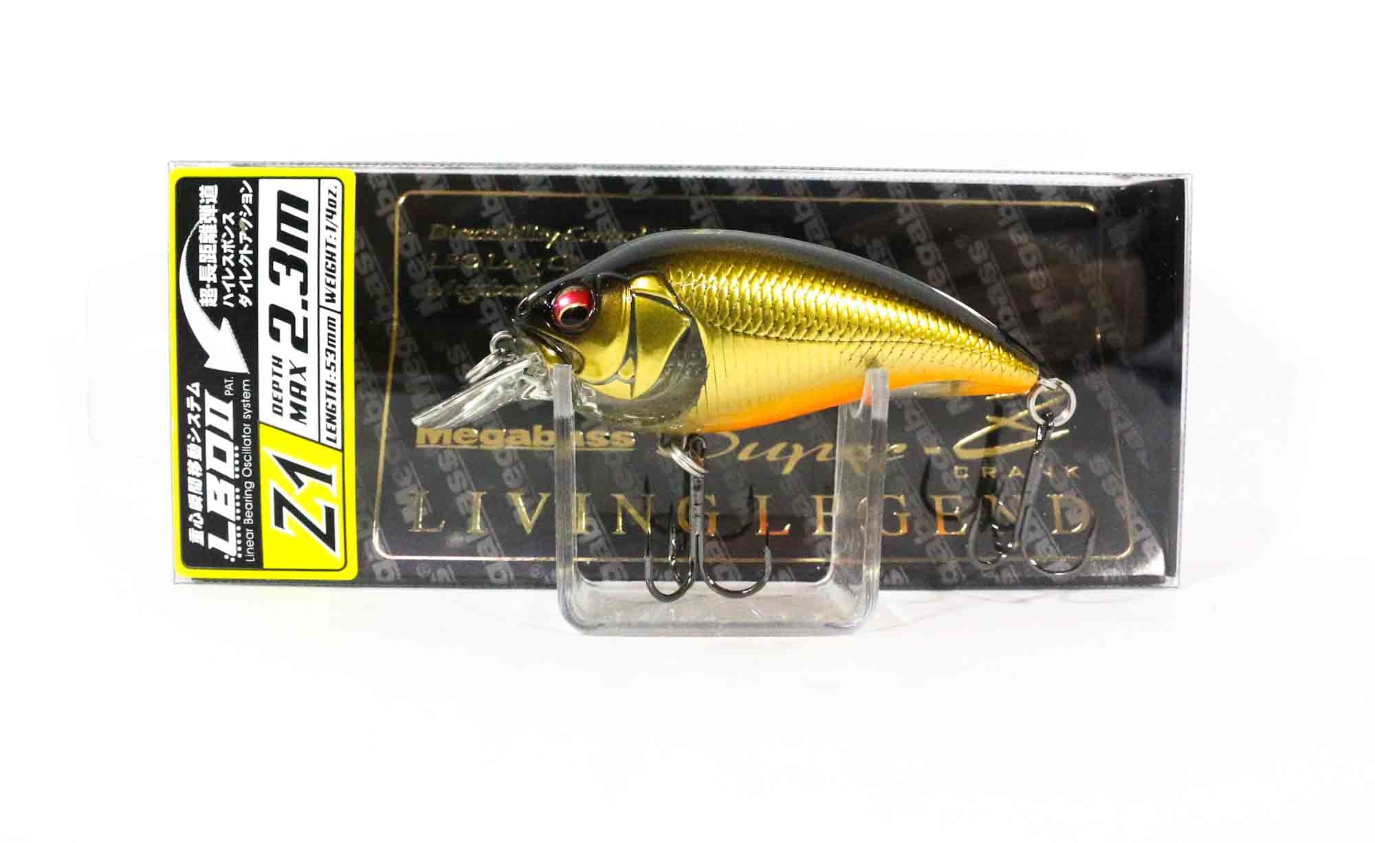 Lure Haven Singapore