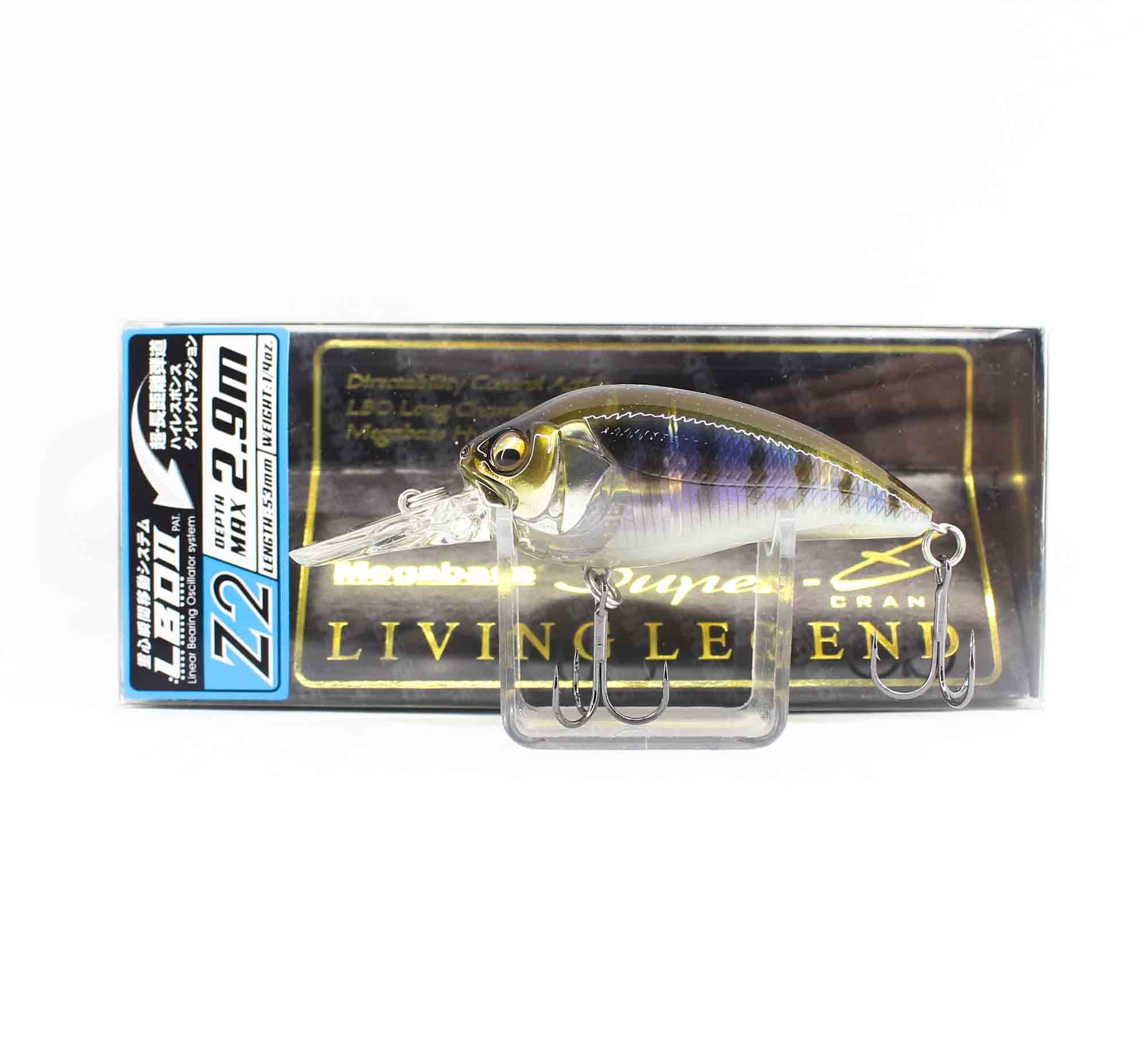 Lure Haven Singapore