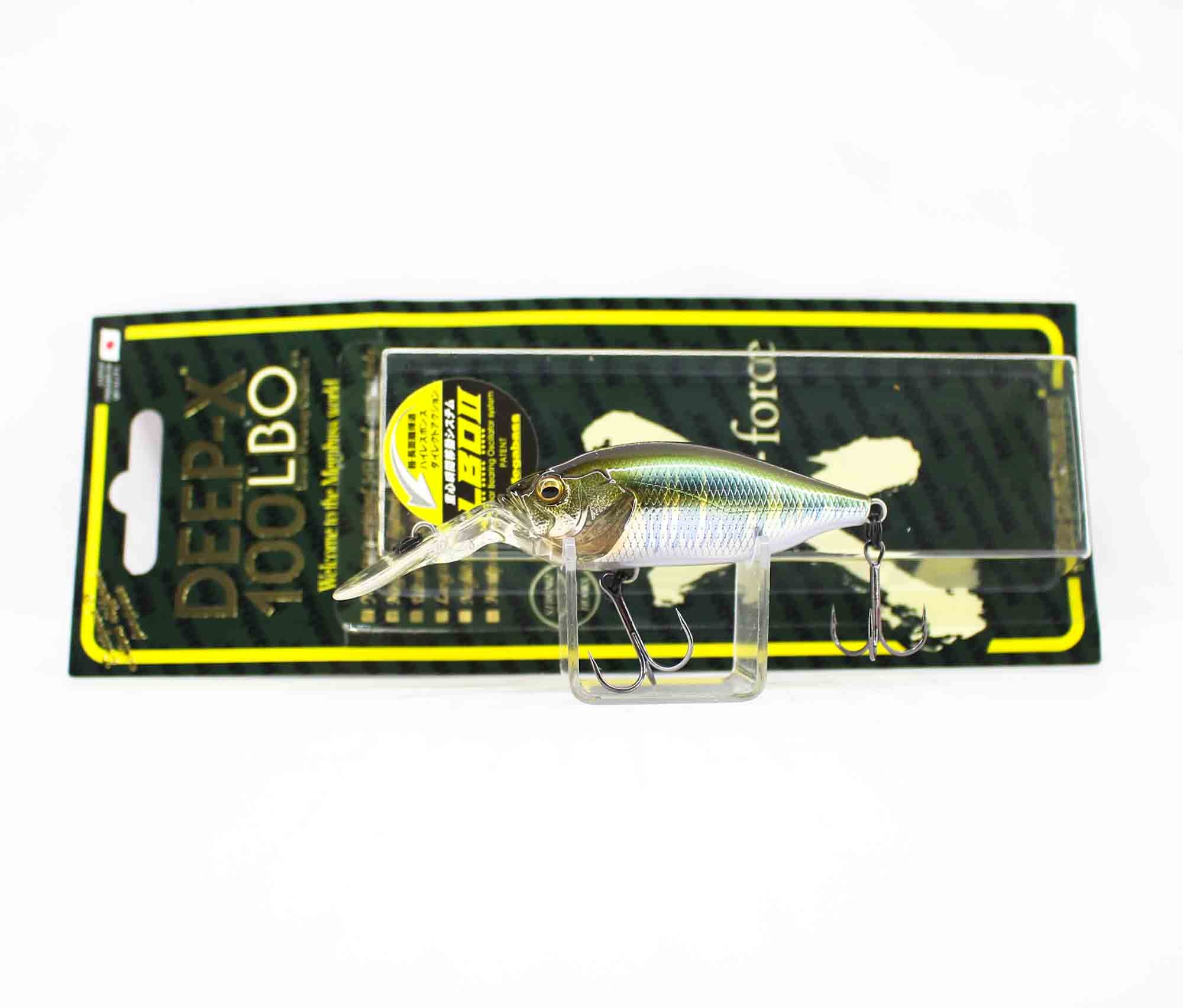 Lure Haven Singapore