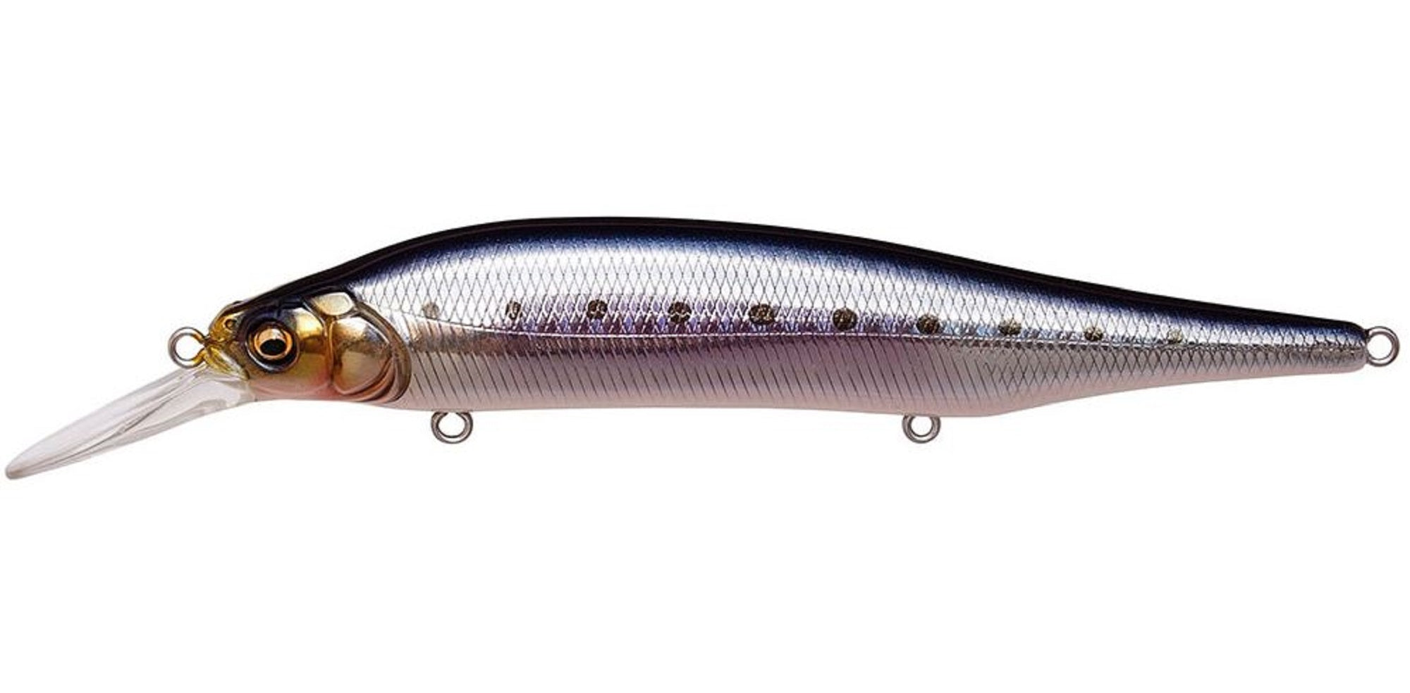 Megabass X-80 Magnum +1 Sinking Lure GG IL Iwashi (2310)