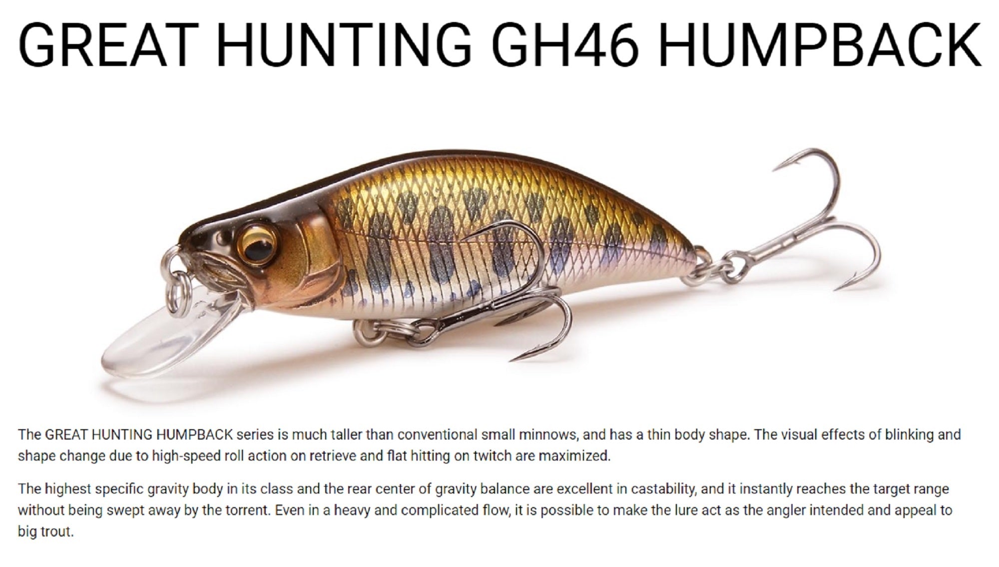 Lure Haven Singapore