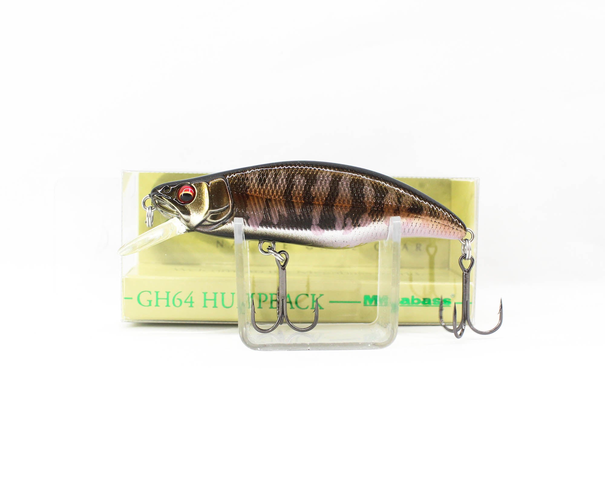 Lure Haven Singapore