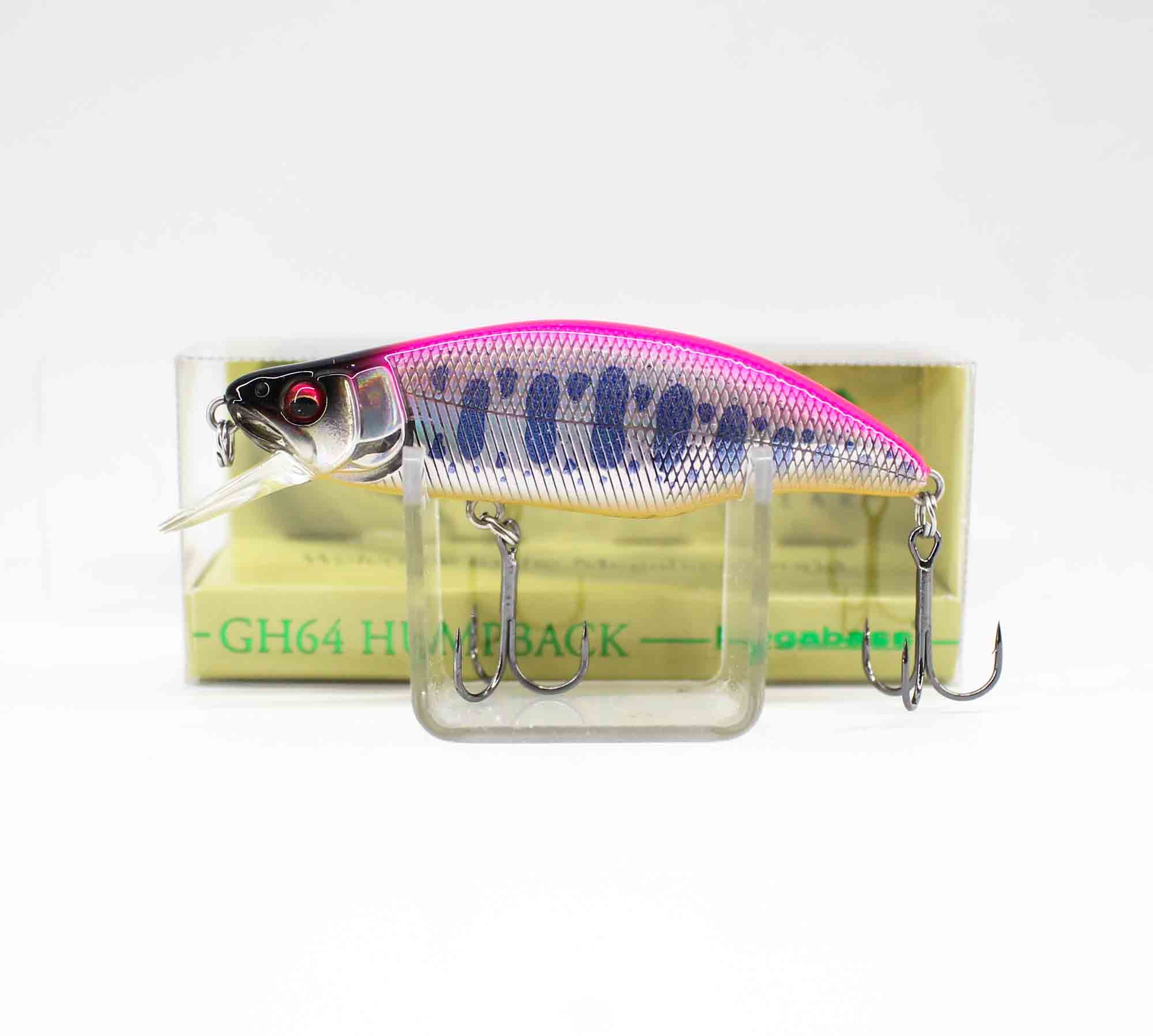 Lure Haven Singapore