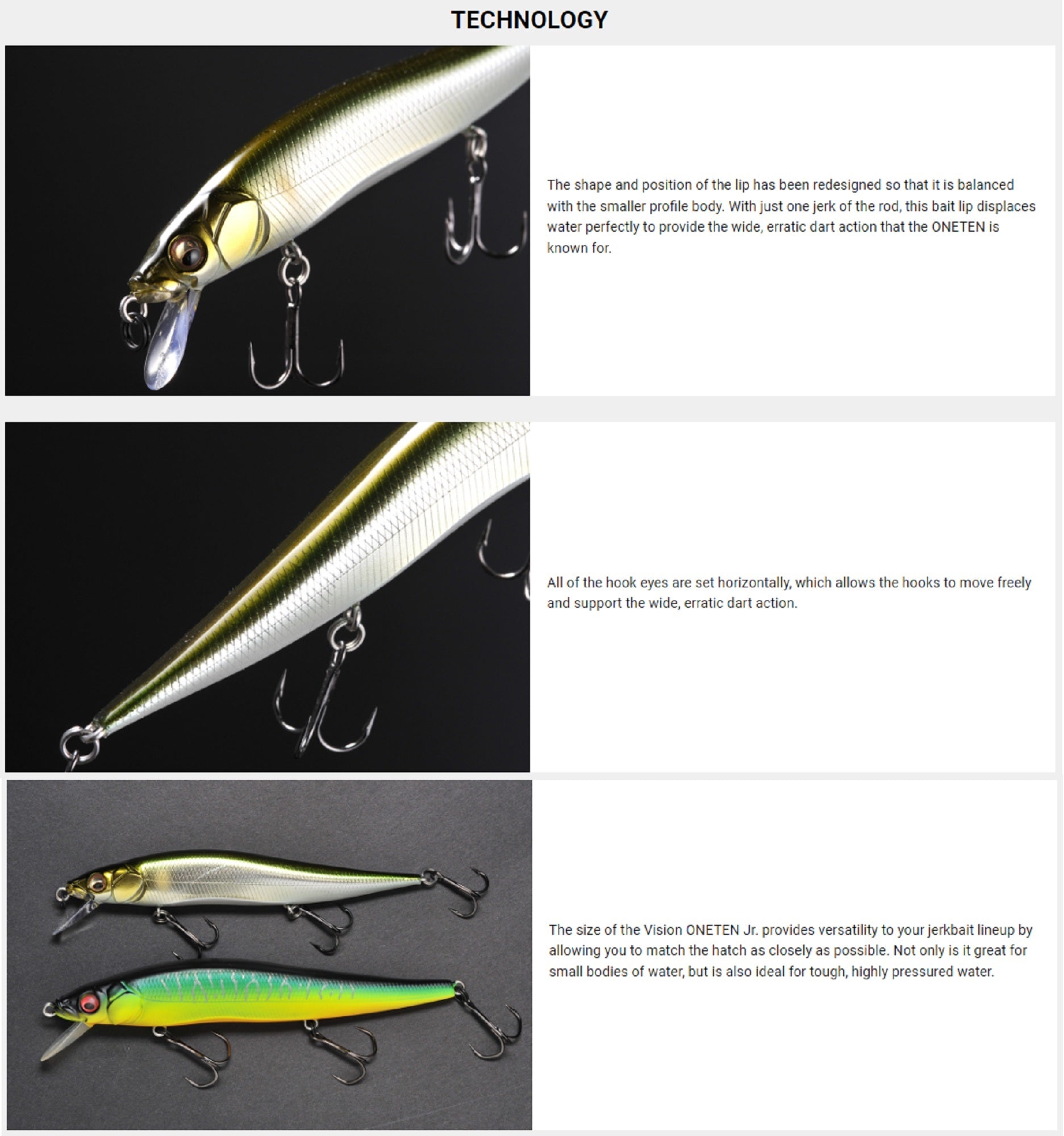 Megabass Vision 110 Oneten JR Suspend Lure FA Gill (8473)