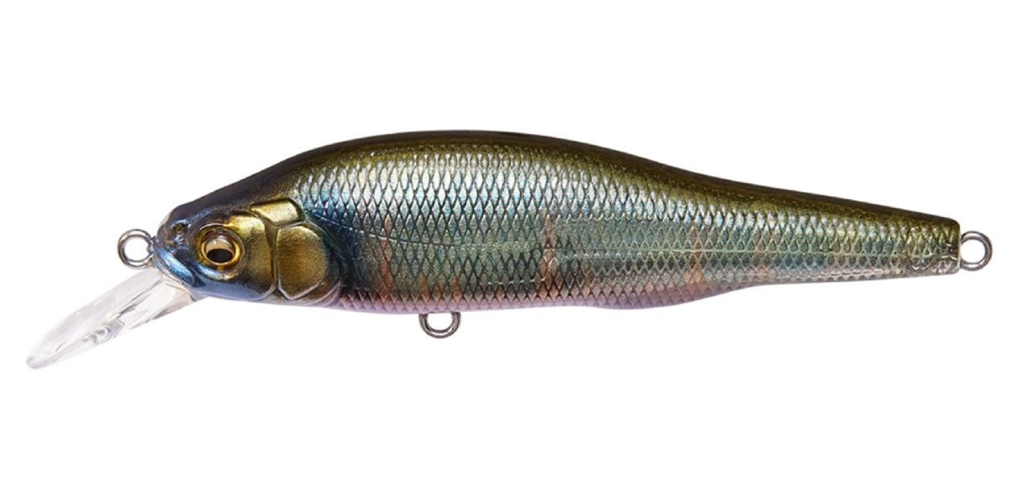 Megabass X-80 Trick Darter Suspend Lure FA Oikawa M (8510)