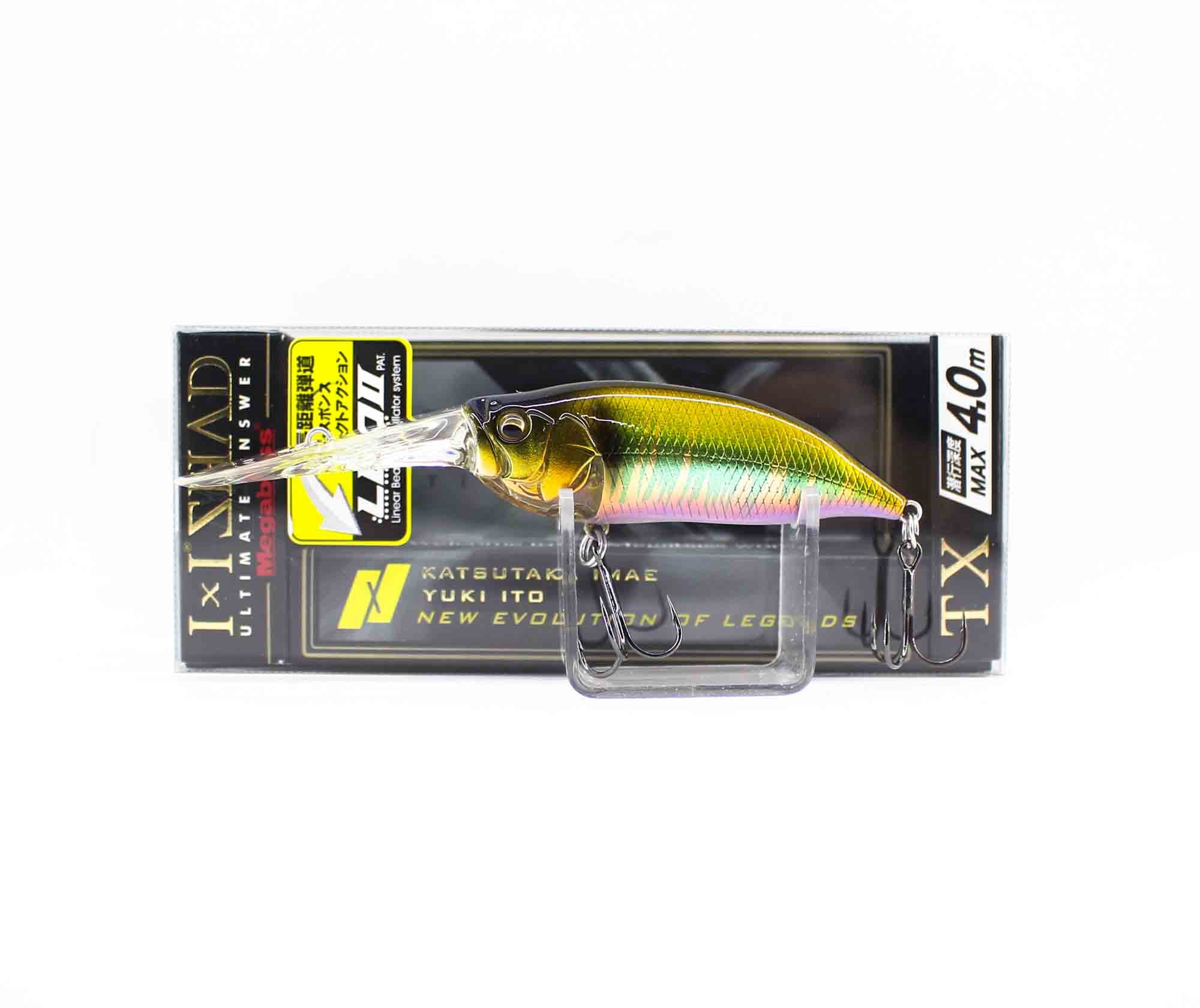 Lure Haven Singapore