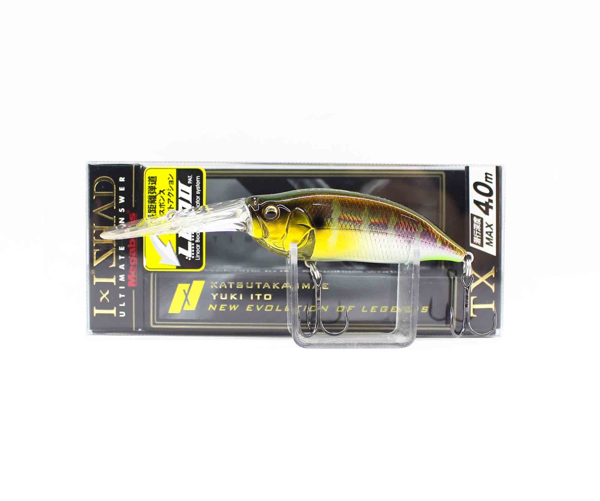 Lure Haven Singapore