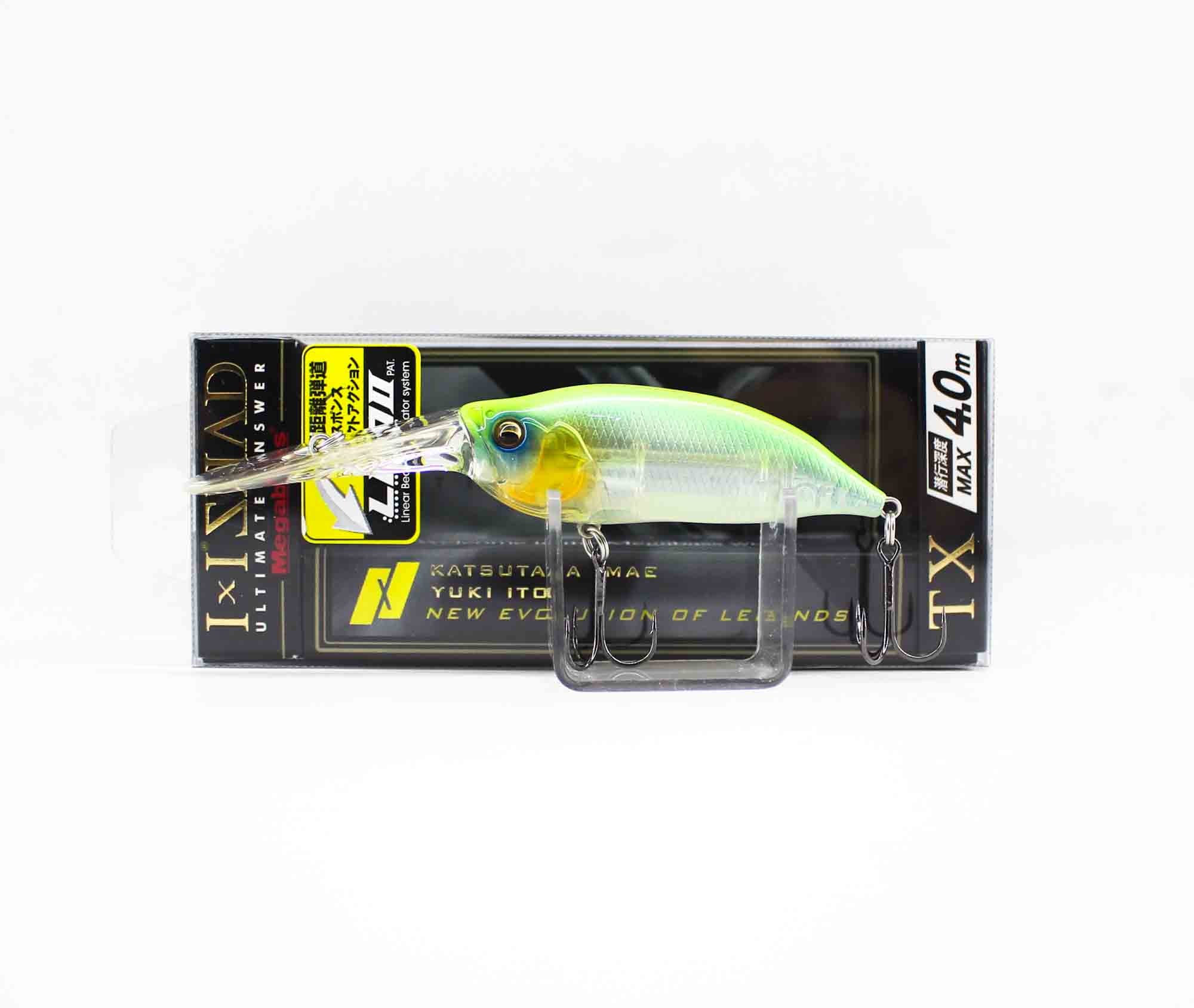 Lure Haven Singapore