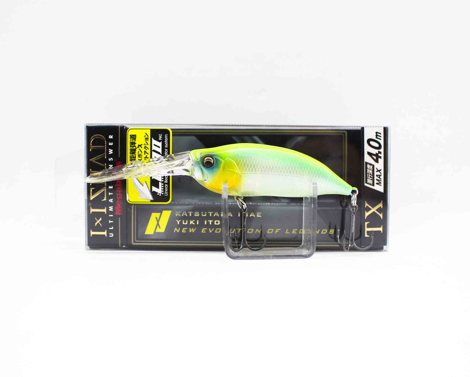 Lure Haven Singapore
