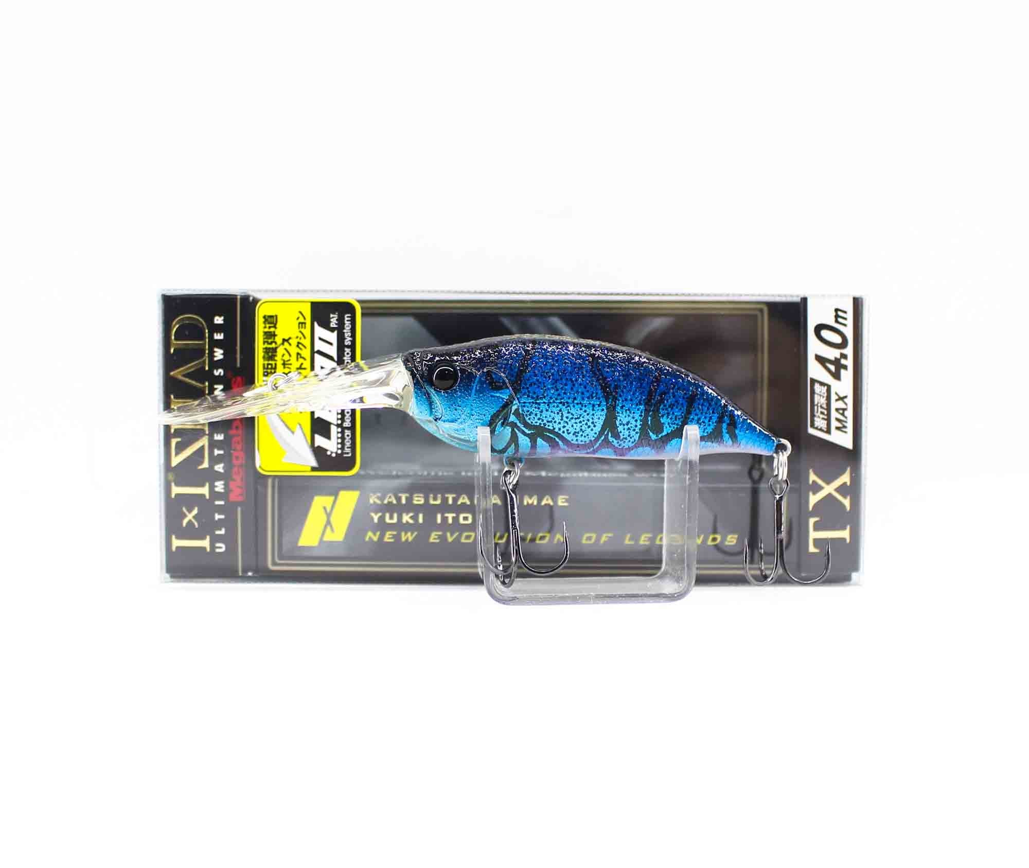 Lure Haven Singapore