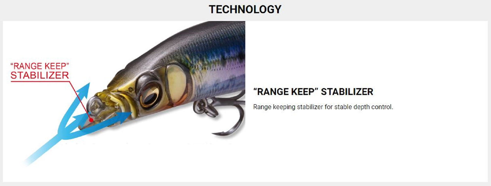 Lure Haven Singapore