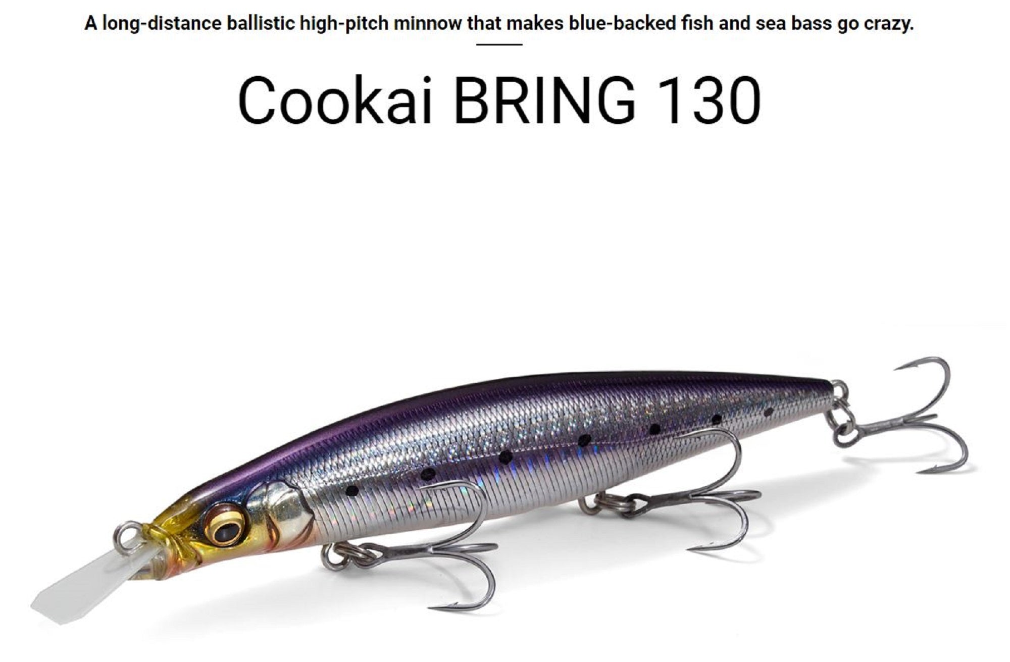 Lure Haven Singapore