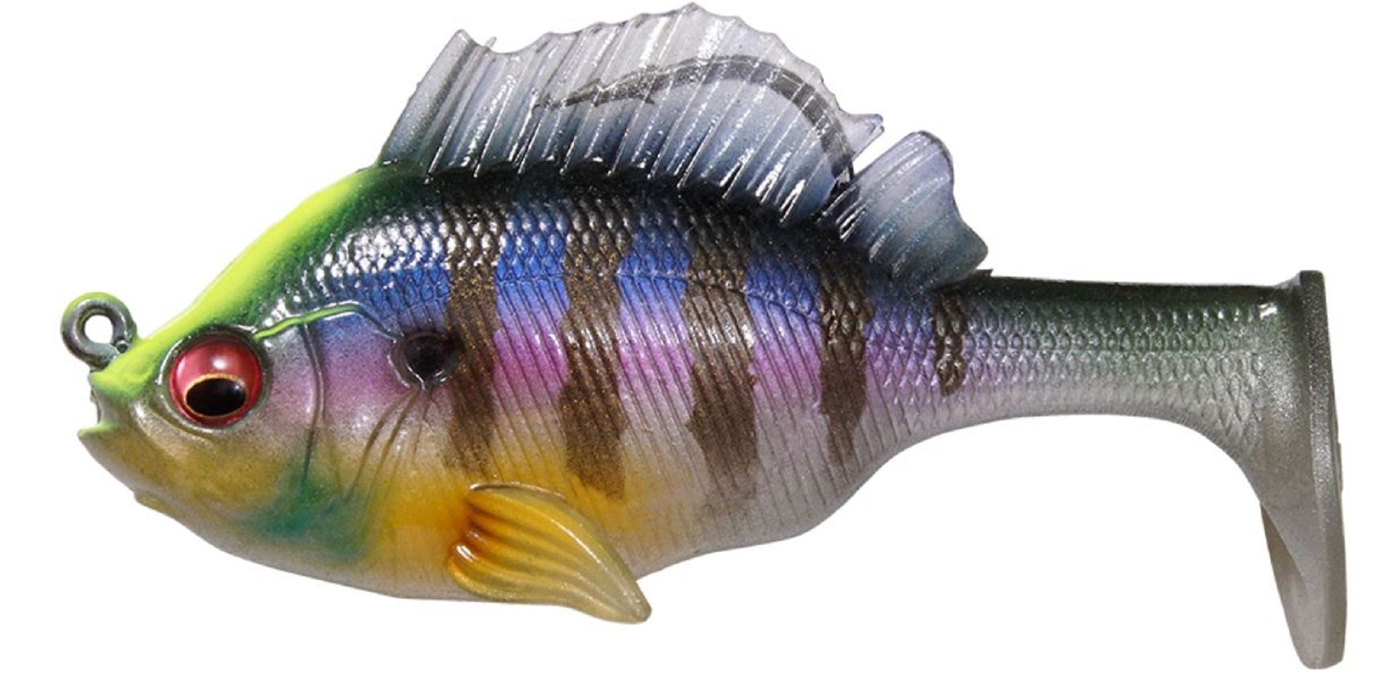 Lure Haven Singapore