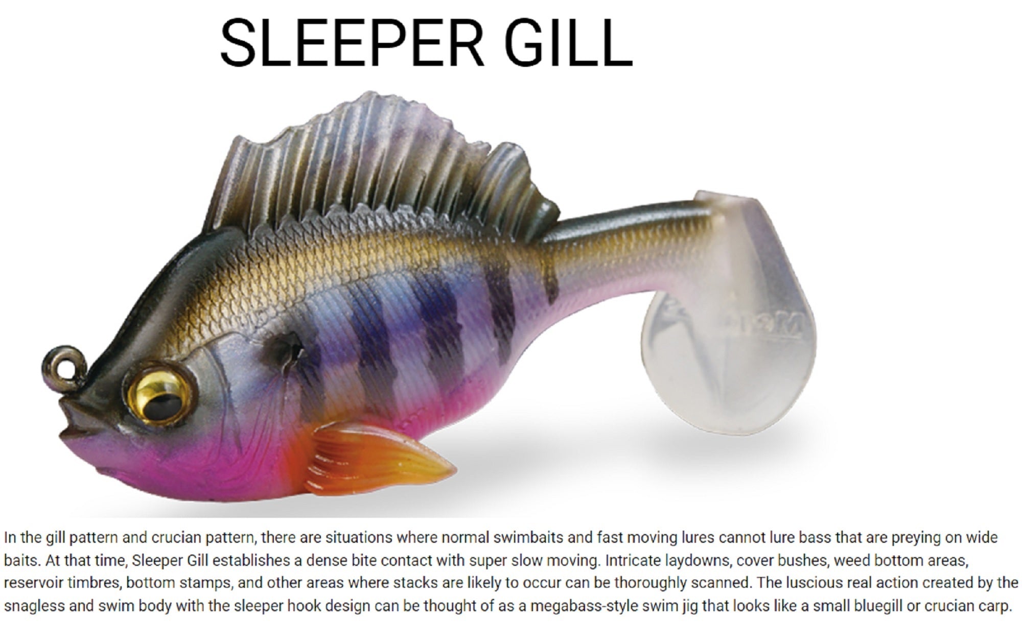 Lure Haven Singapore