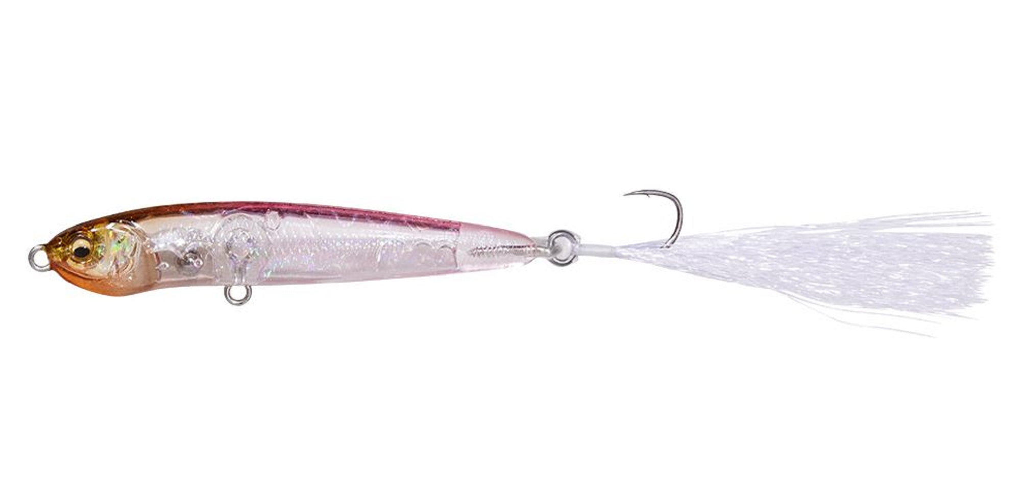 Lure Haven Singapore