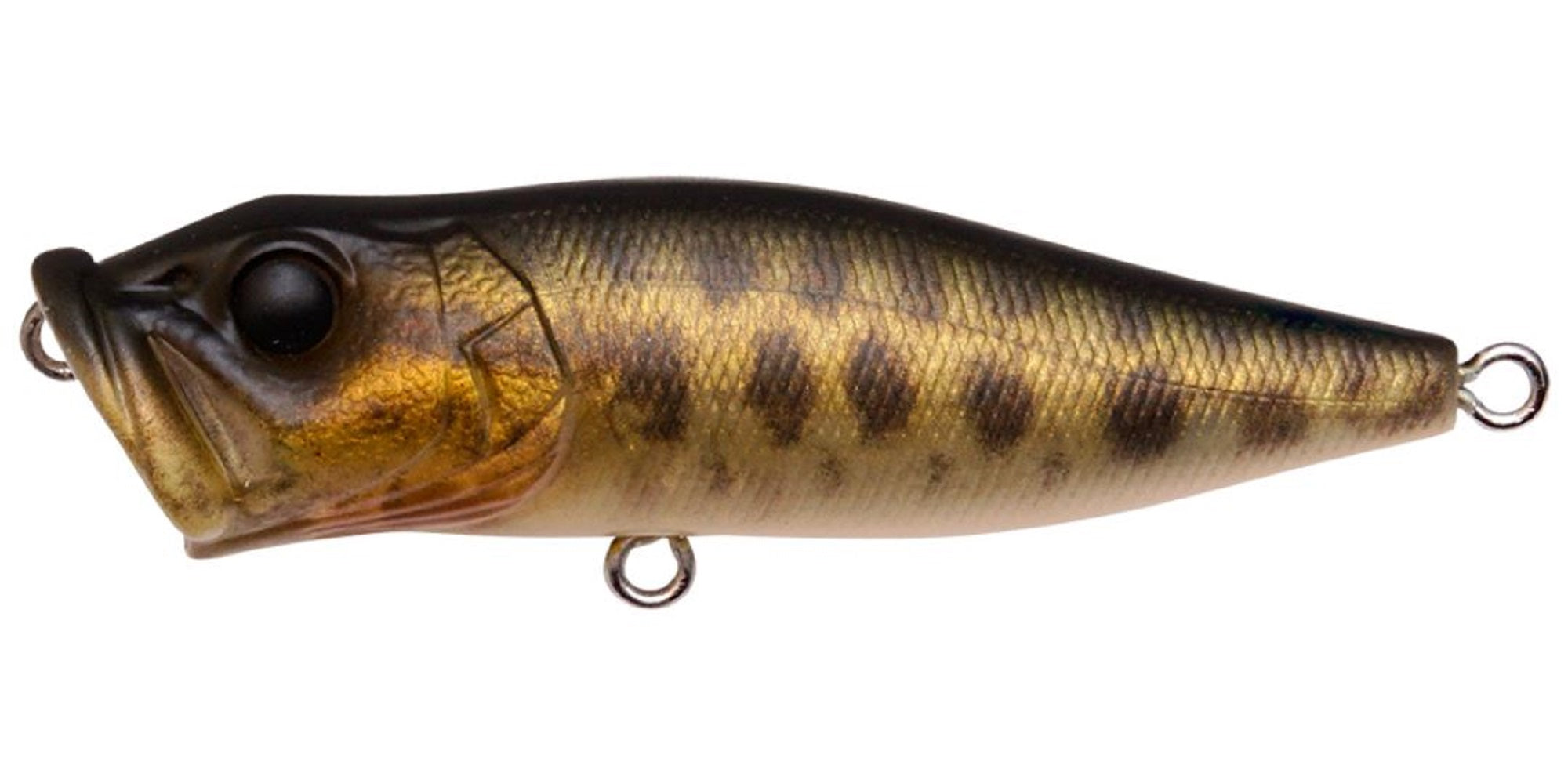 Megabass Pop X Standard 64 mm 7 grams Floating Lure FA Baby Raigyo (0489)