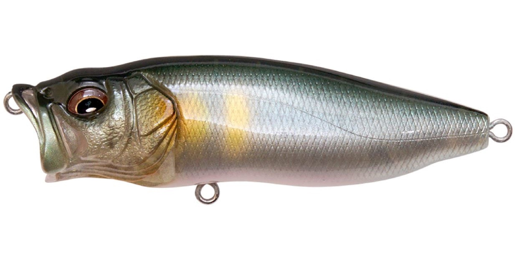 Megabass Pop Max 78 mm 14 grams Floating Lure FA Wakaayu (0519)