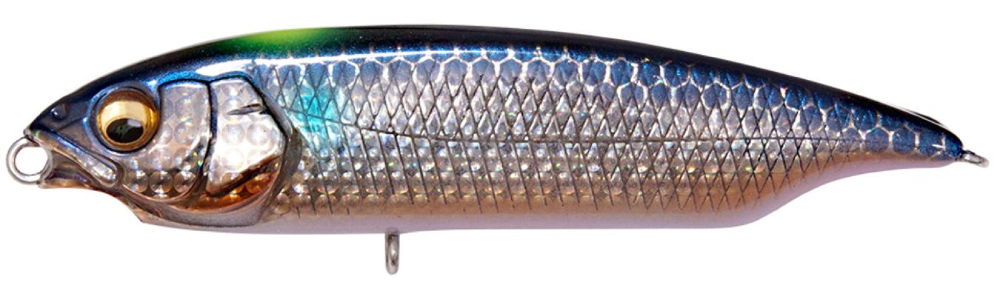 Megabass Karashi SW SS Slow Sinking Lure DD Signal Inakko (0670)
