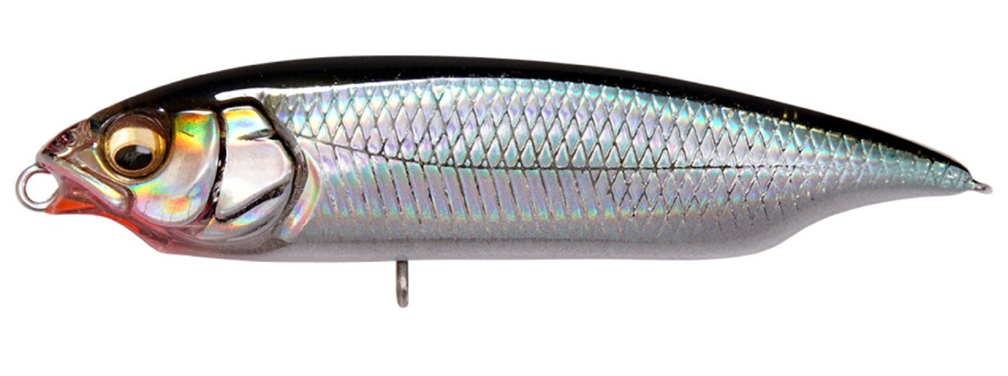 Megabass Karashi SW SS Slow Sinking Lure LZ Tougorou (0687)