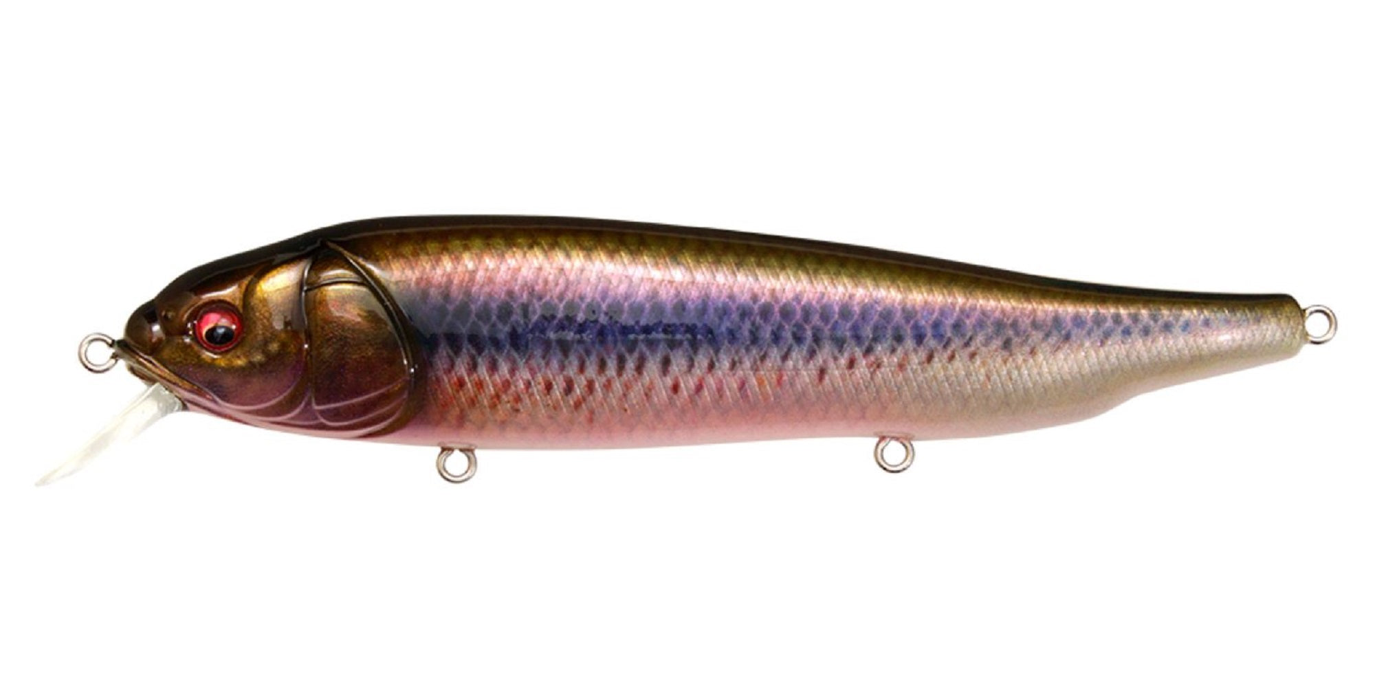Lure Haven Singapore