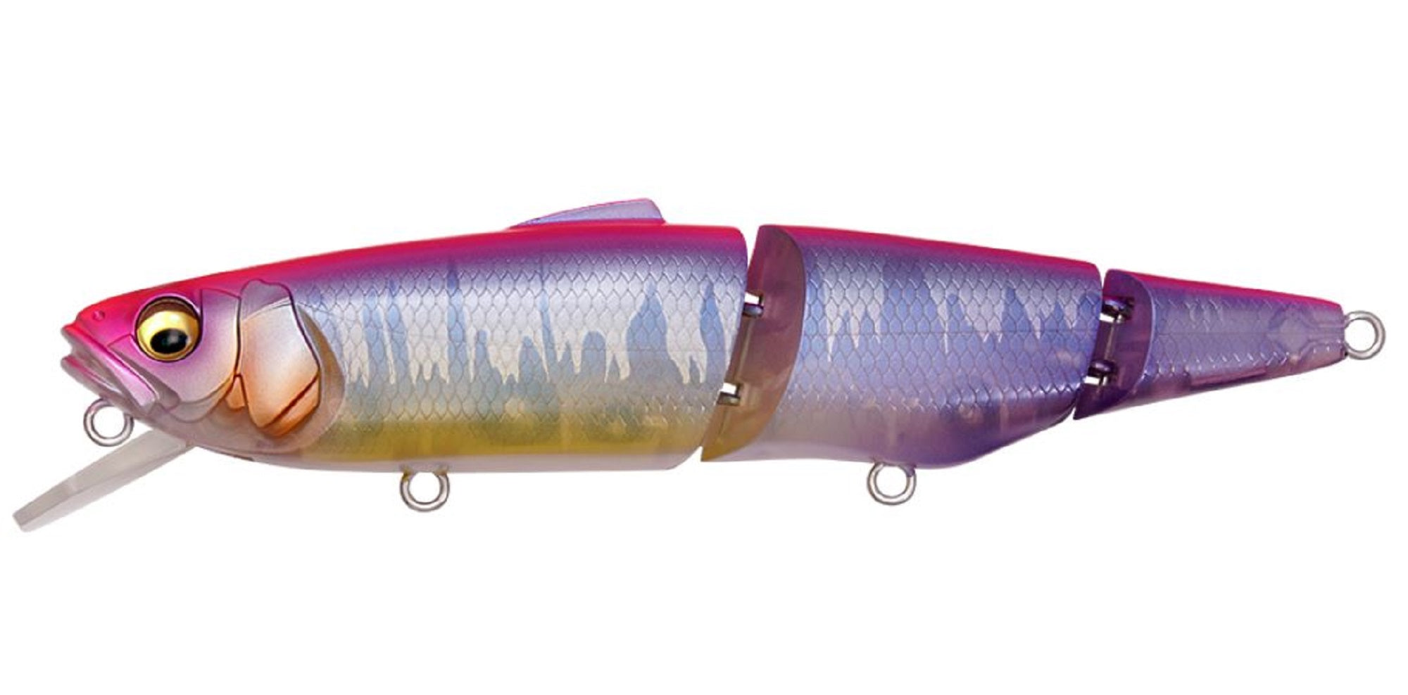 Lure Haven Singapore