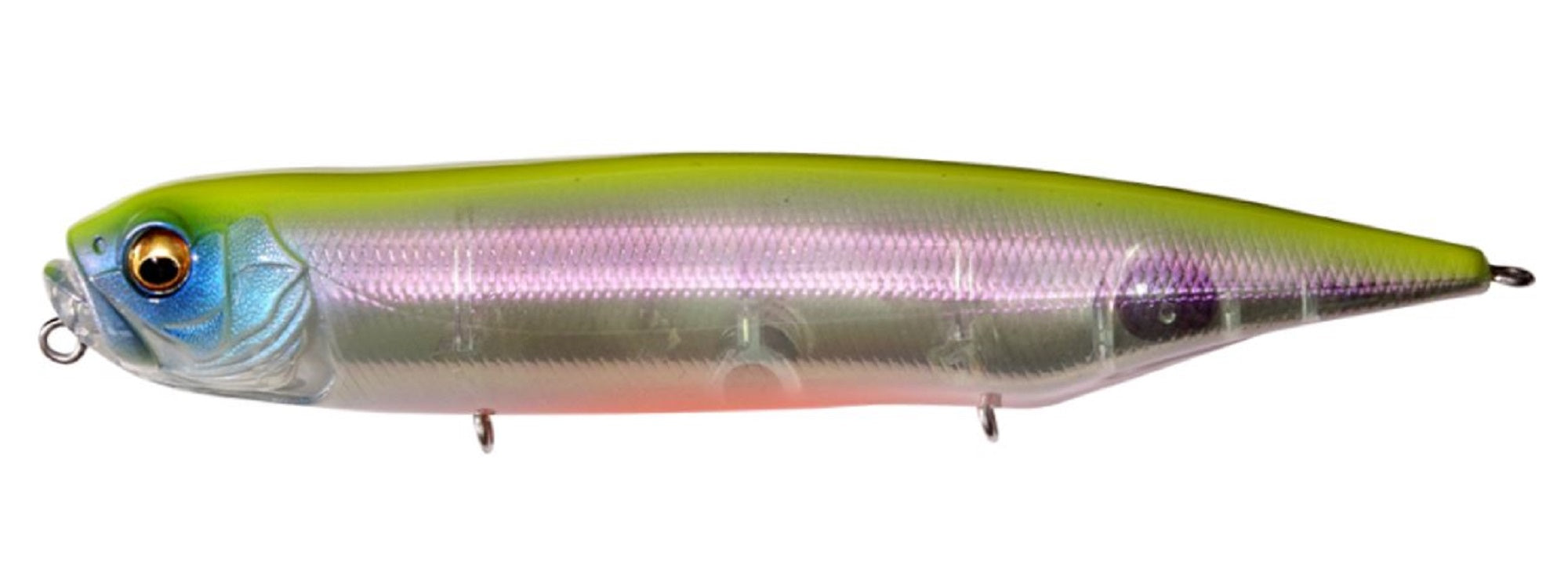 Lure Haven Singapore