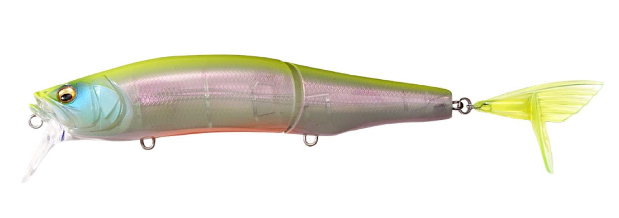 Lure Haven Singapore