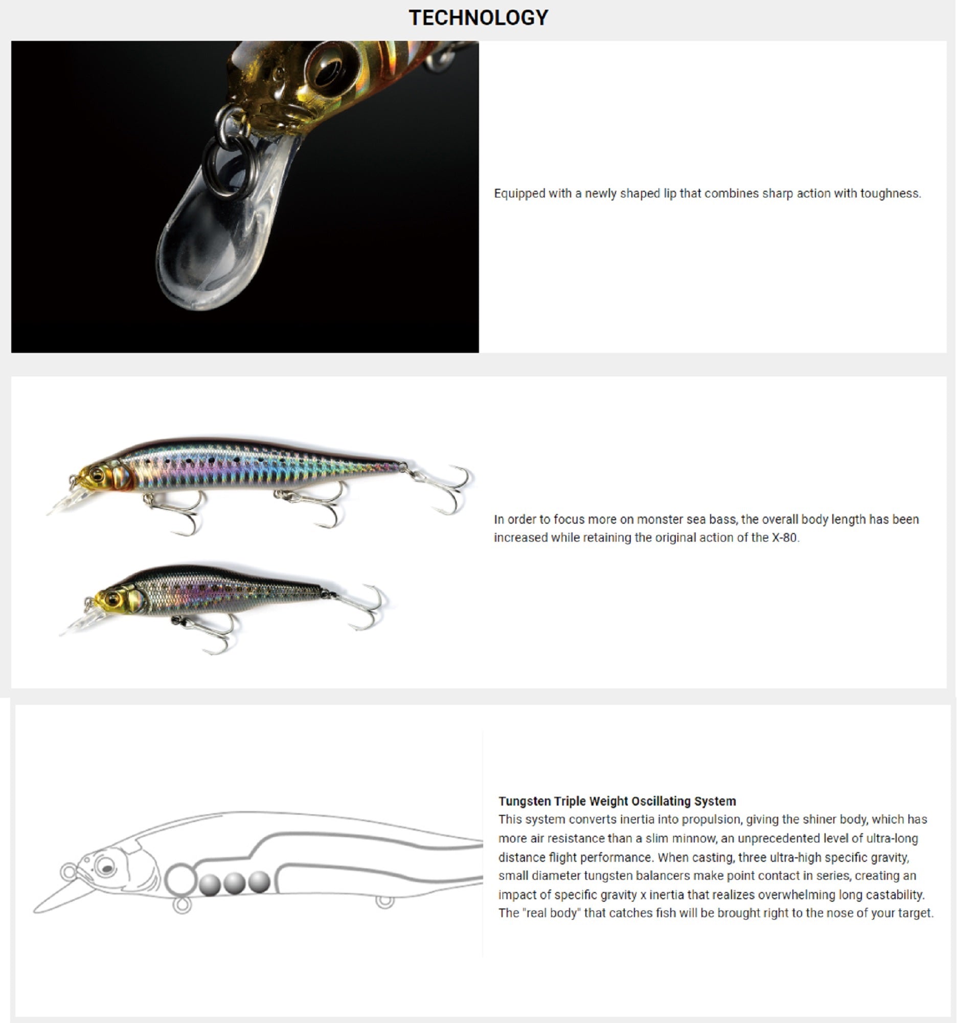 Lure Haven Singapore
