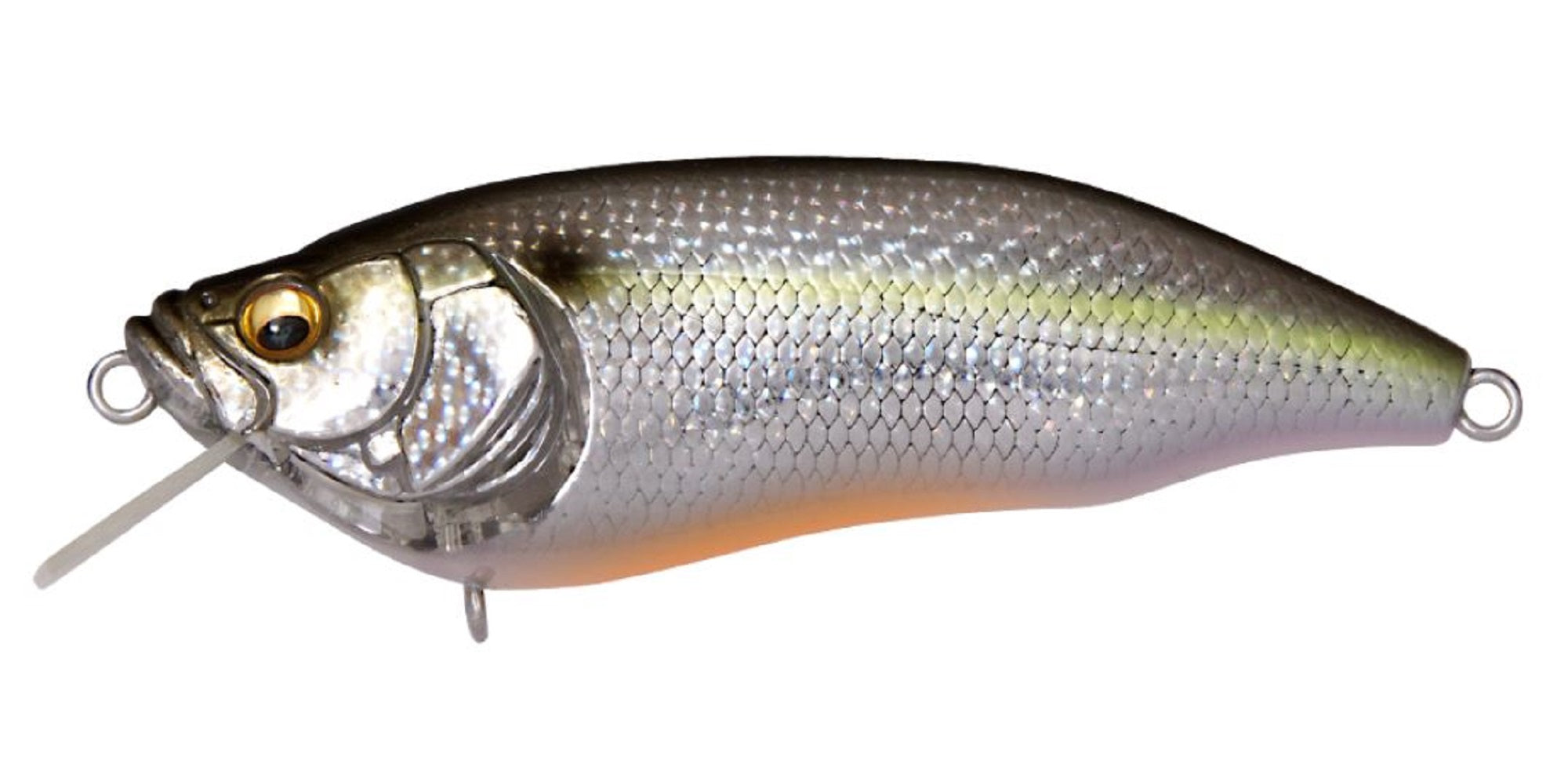 Megabass I X I Furious 1.5 64 mm 1/4 oz Floating Lure DD Sexy Shad (2383)