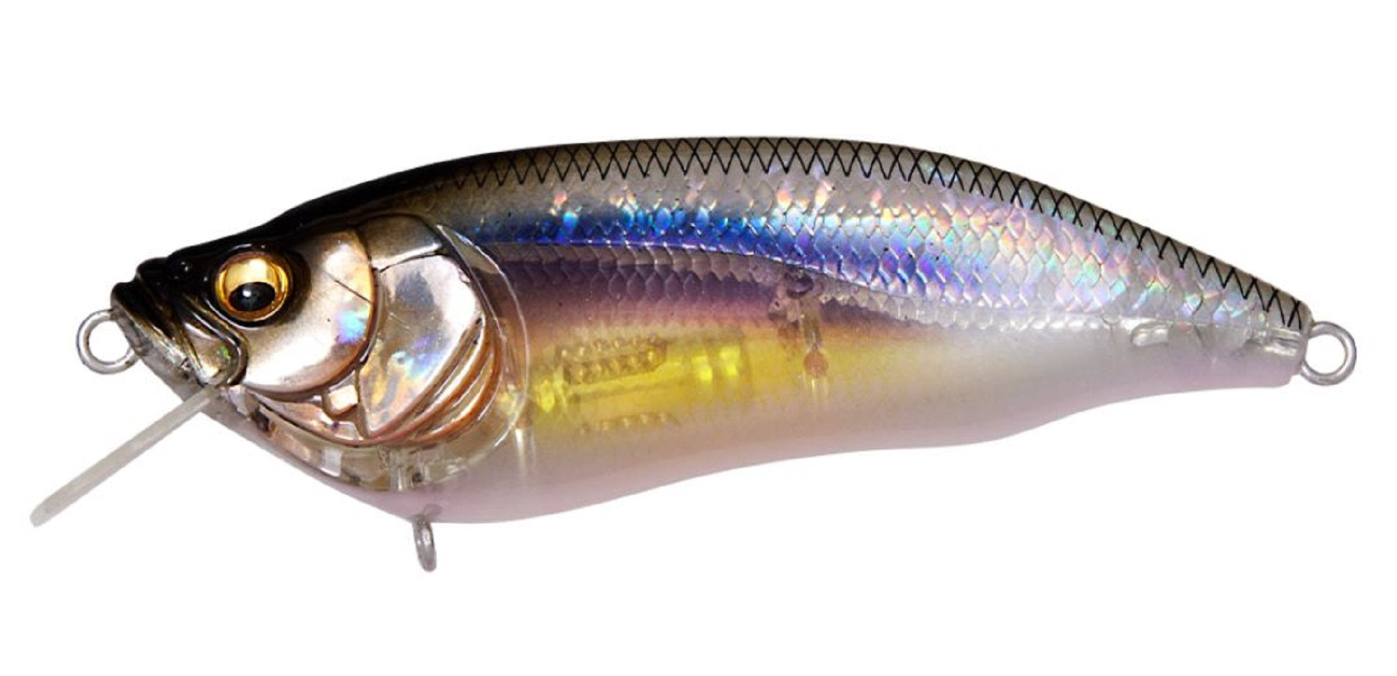 Megabass I X I Furious 1.5 64 mm 1/4 oz Floating Lure Kasumi ITO (2390)